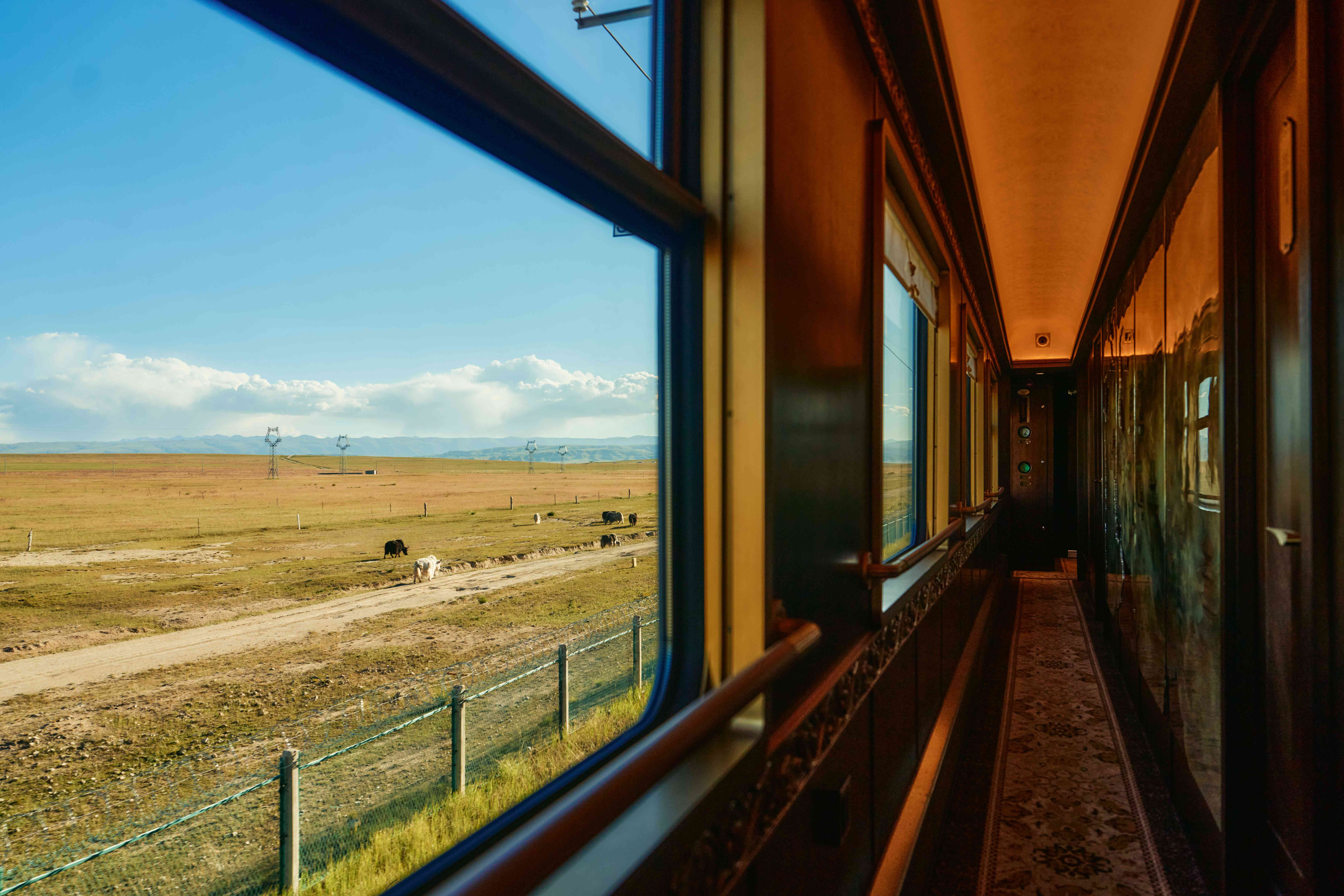 How are the itineraries for the Silk Road Dream Train arranged in 2025？ What is the price？