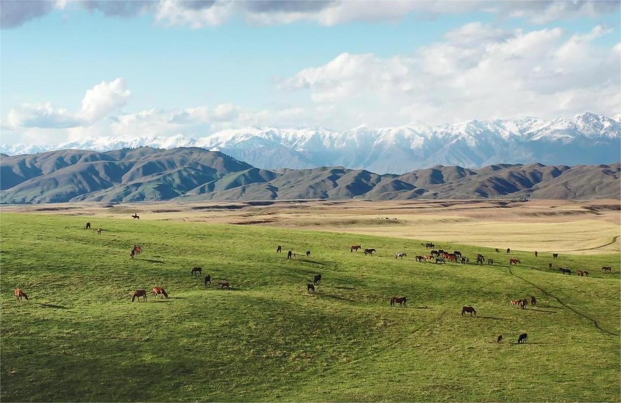 新疆旅游抱團_新疆旅游抱團好還是自助游