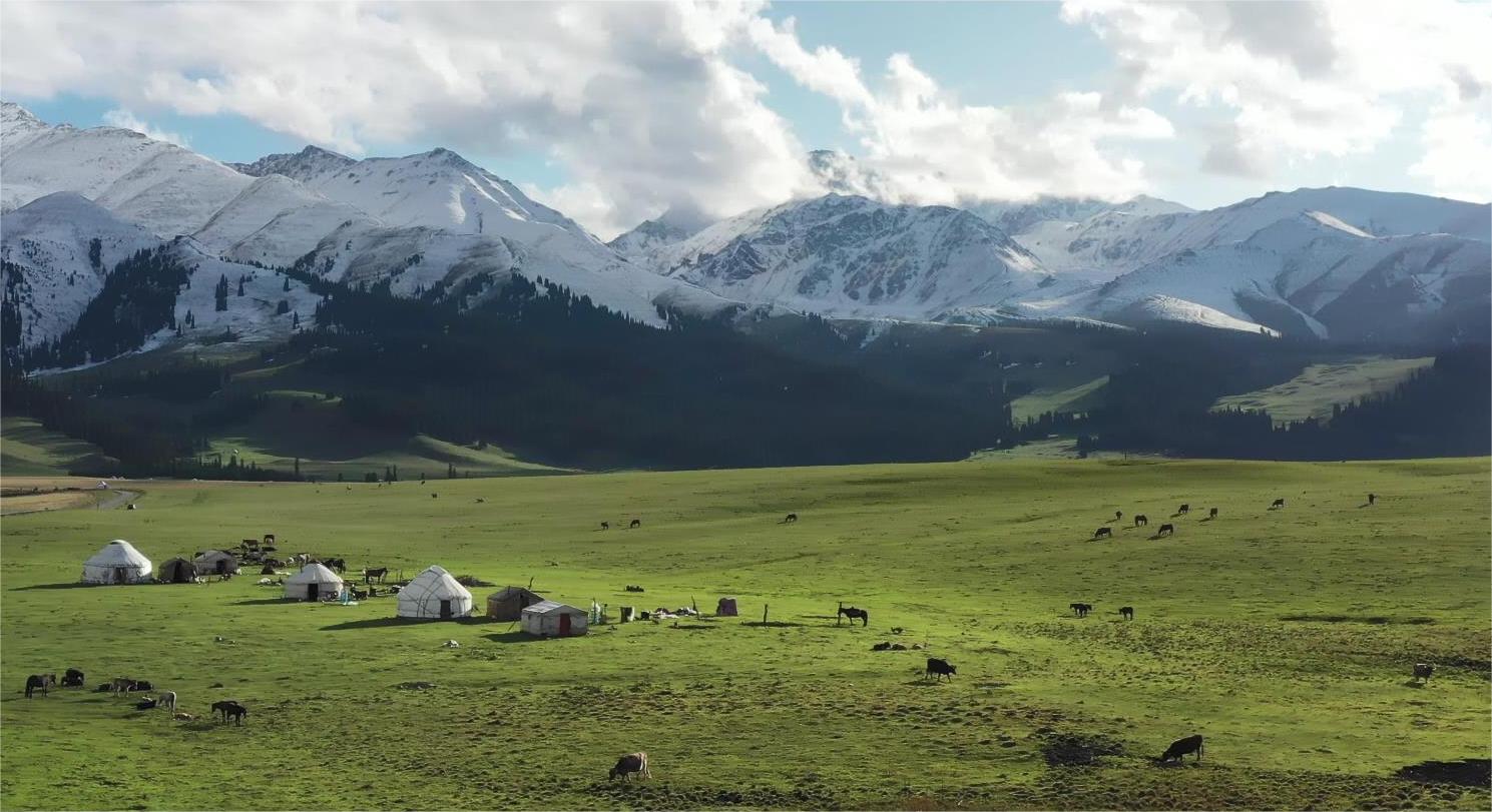 去伊犁旅游跟團報價_去伊犁旅游跟團報價多少