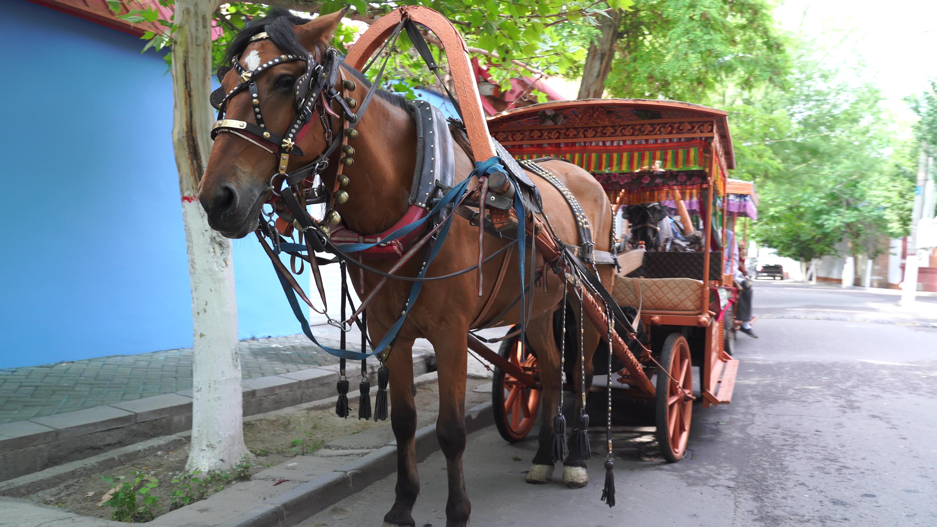 六月去新疆南疆旅游團價格_新疆南彊旅游