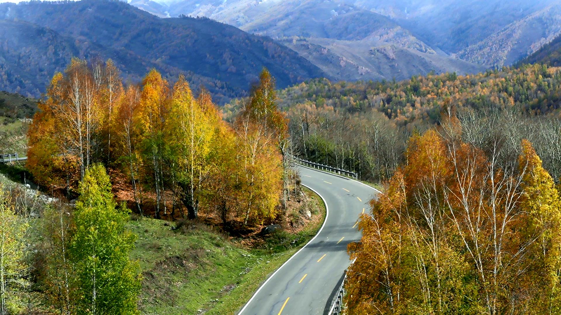 伊犁旅游抱團報價_伊犁旅游抱團報價多少