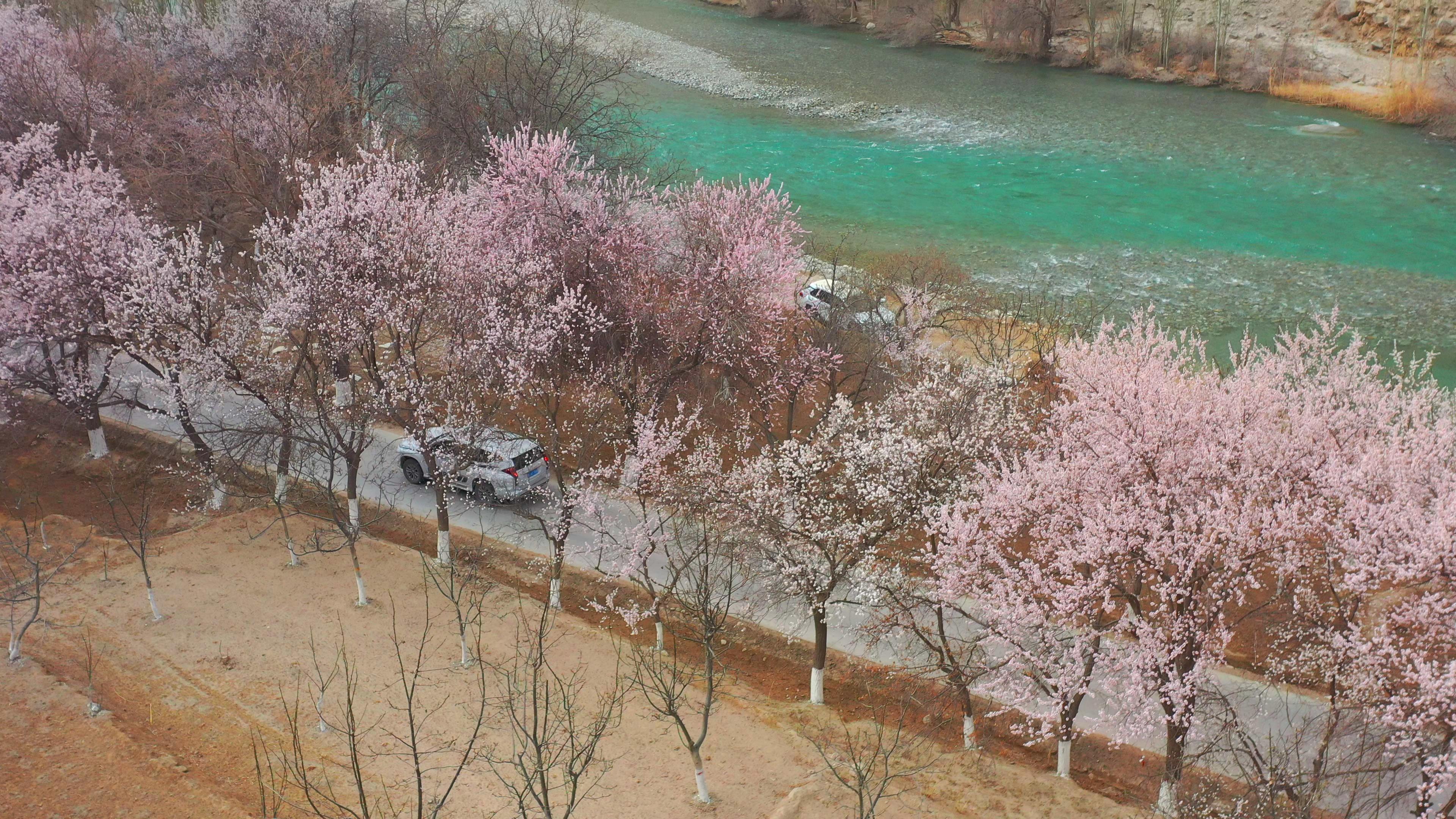 四月喀納斯旅游費用_4月去喀納斯怎么樣