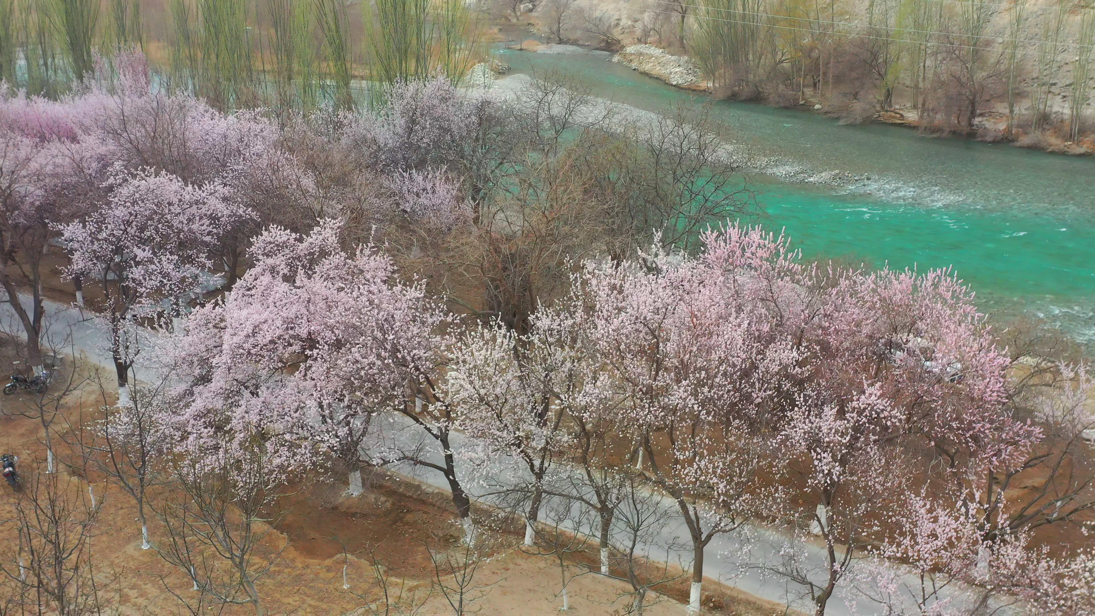 那拉提游跟團游_那拉提游跟團游哪個好玩