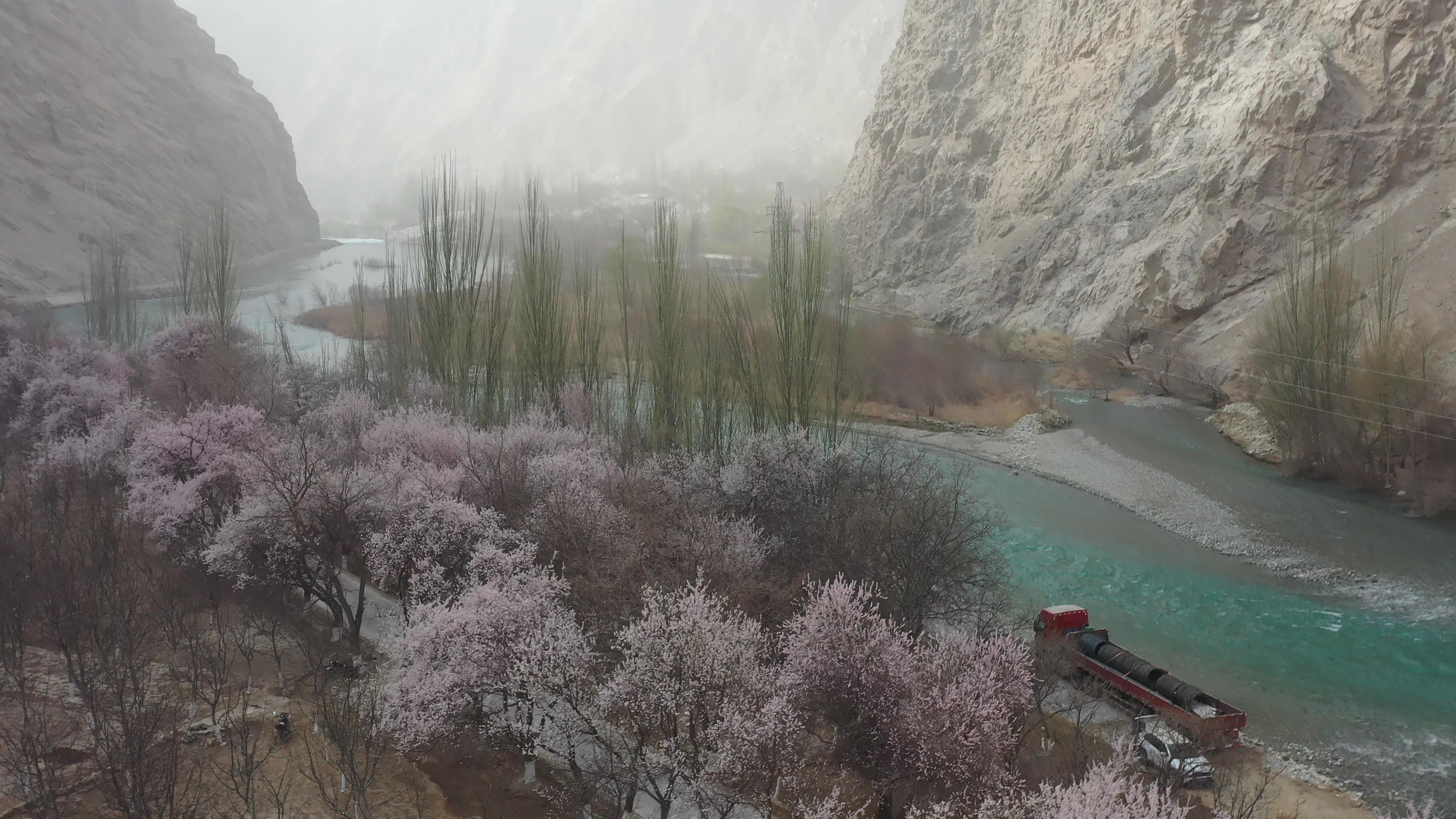 八月赴喀納斯旅游_八月赴喀納斯旅游心得體會