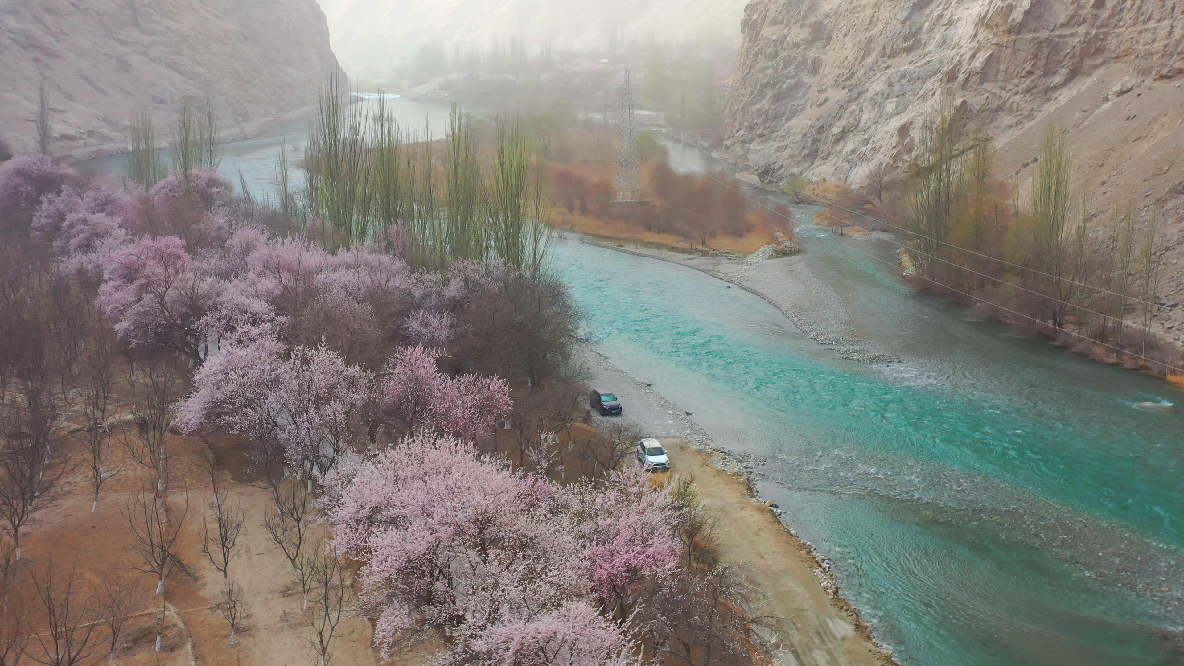 伊犁參團旅游報價_伊犁參團旅游報價表