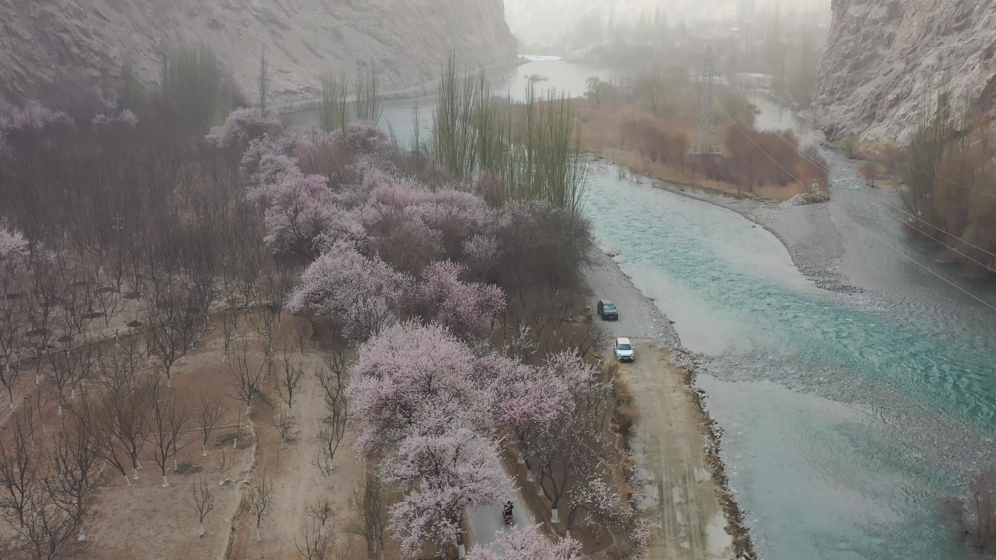 三月份喀納斯跟團旅游多少錢_三月份喀納斯跟團旅游多少錢一天