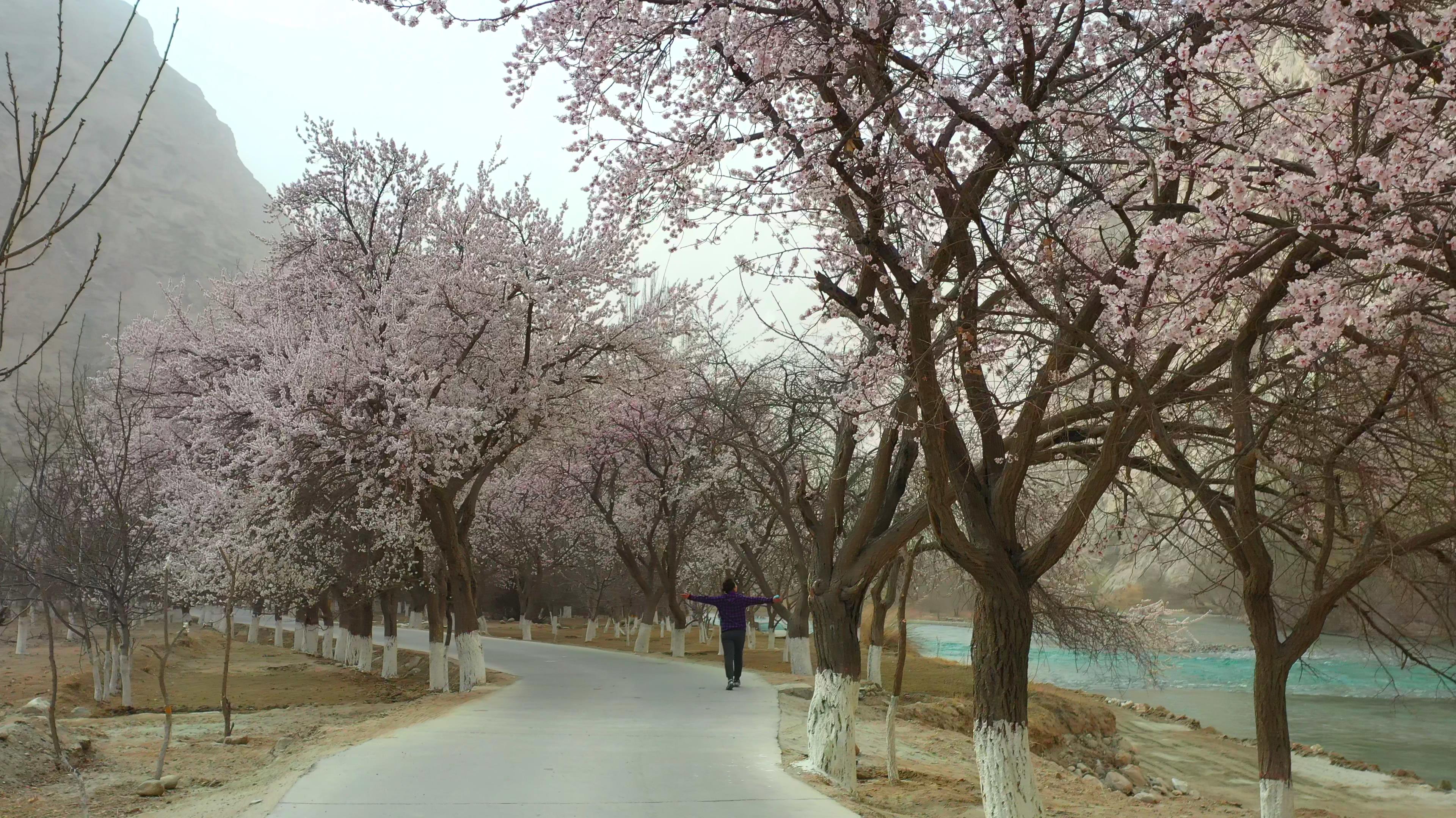 去那拉提旅游團報價_去那拉提旅游團報價多少