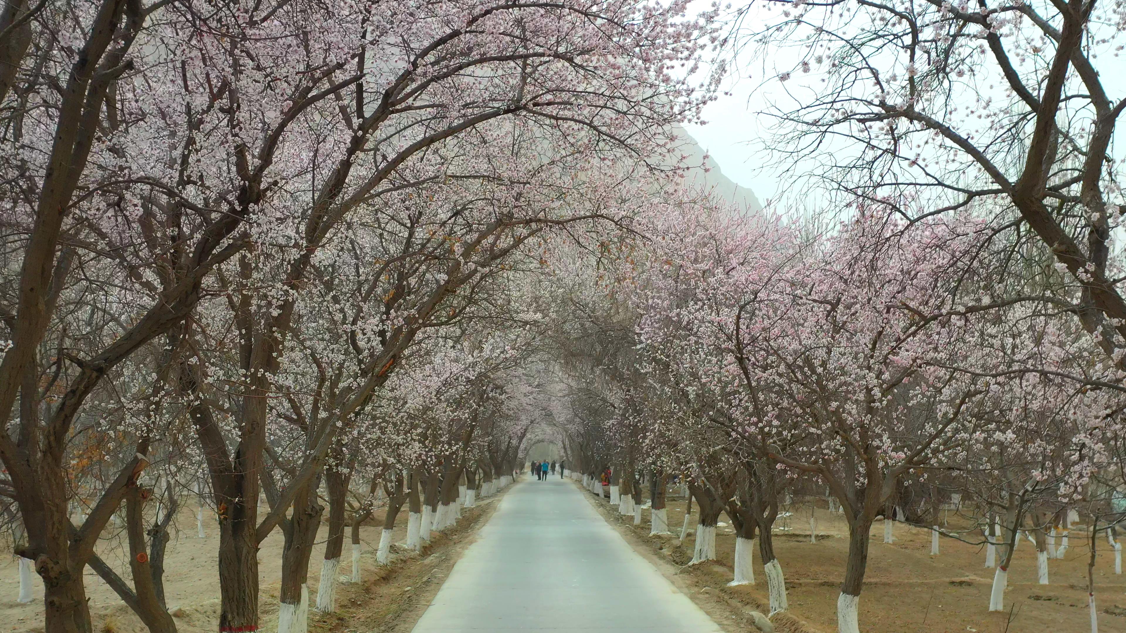 喀什旅游四月價格_喀什旅游四月價格表