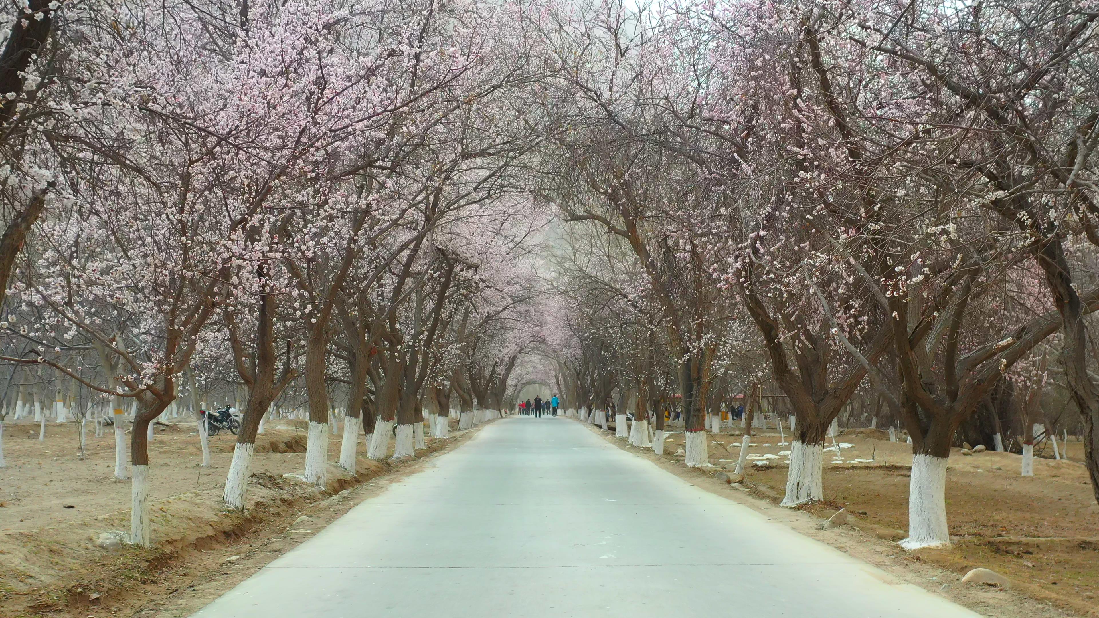 暑假去喀什旅游團_暑假去喀什旅游團多少錢