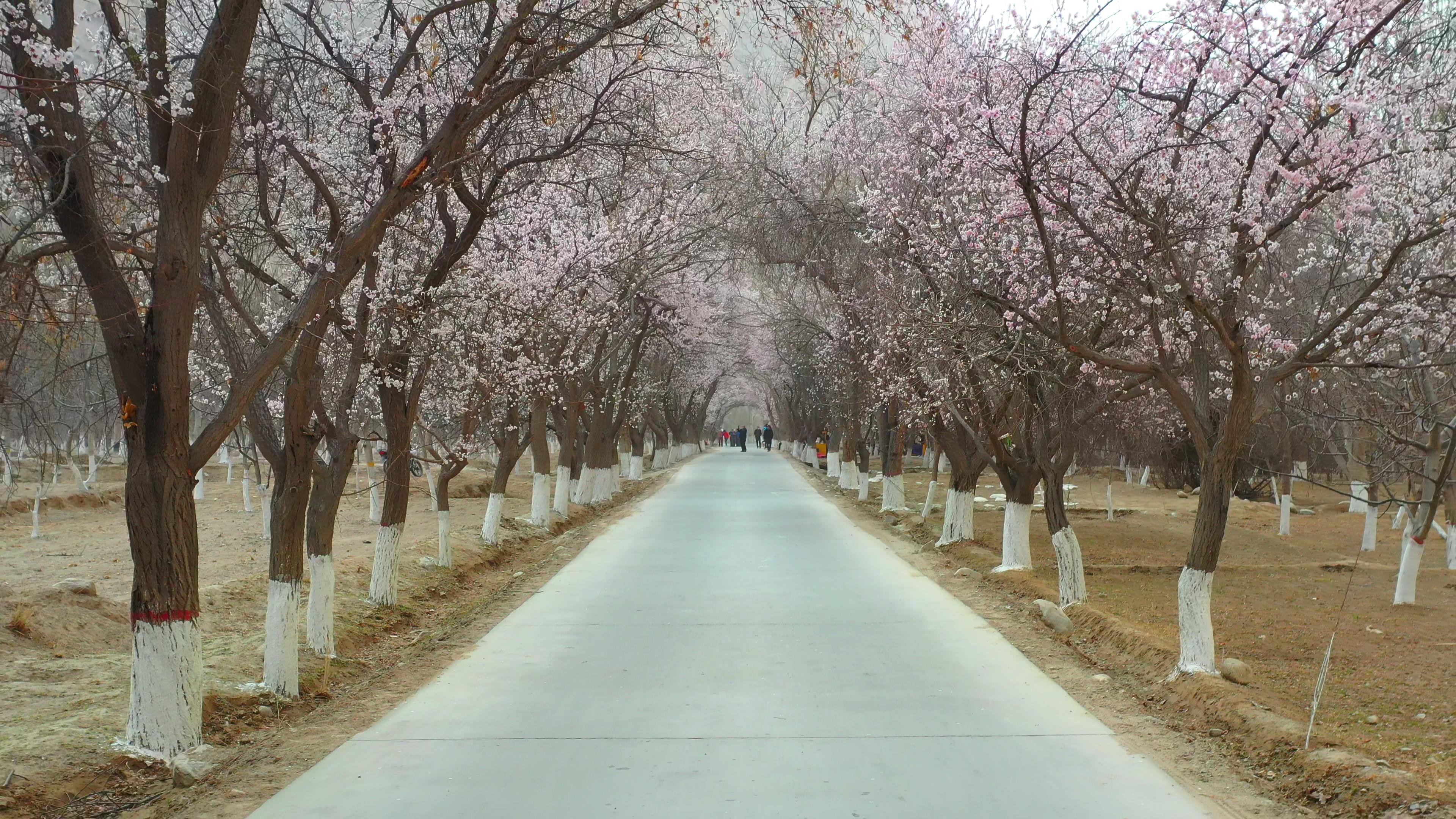 去喀什旅游包團_去喀什旅游包團多少錢