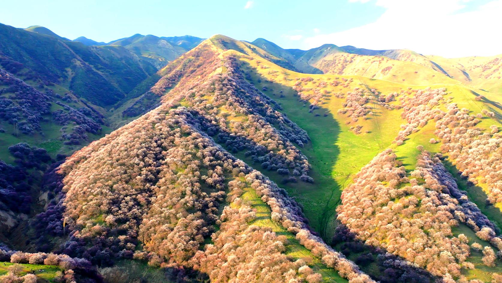 新疆三月旅游費用_新疆三月旅游費用多少