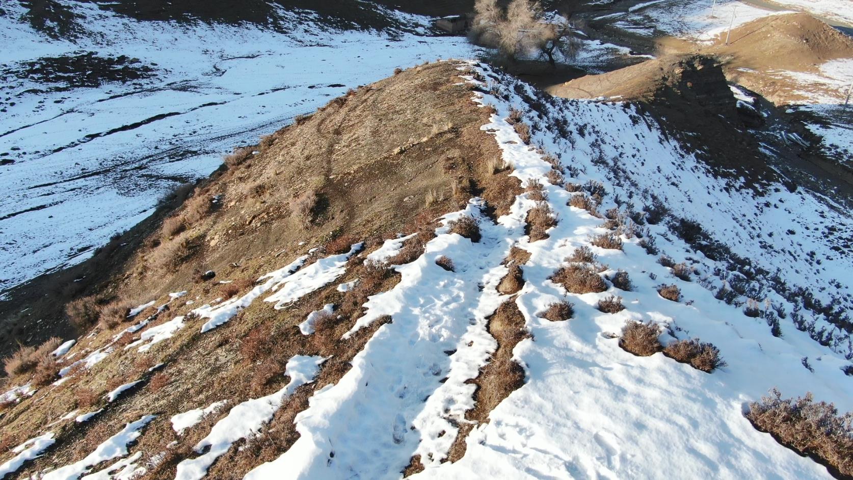 去伊犁的跟團旅游報價_去伊犁自由行還是跟團游