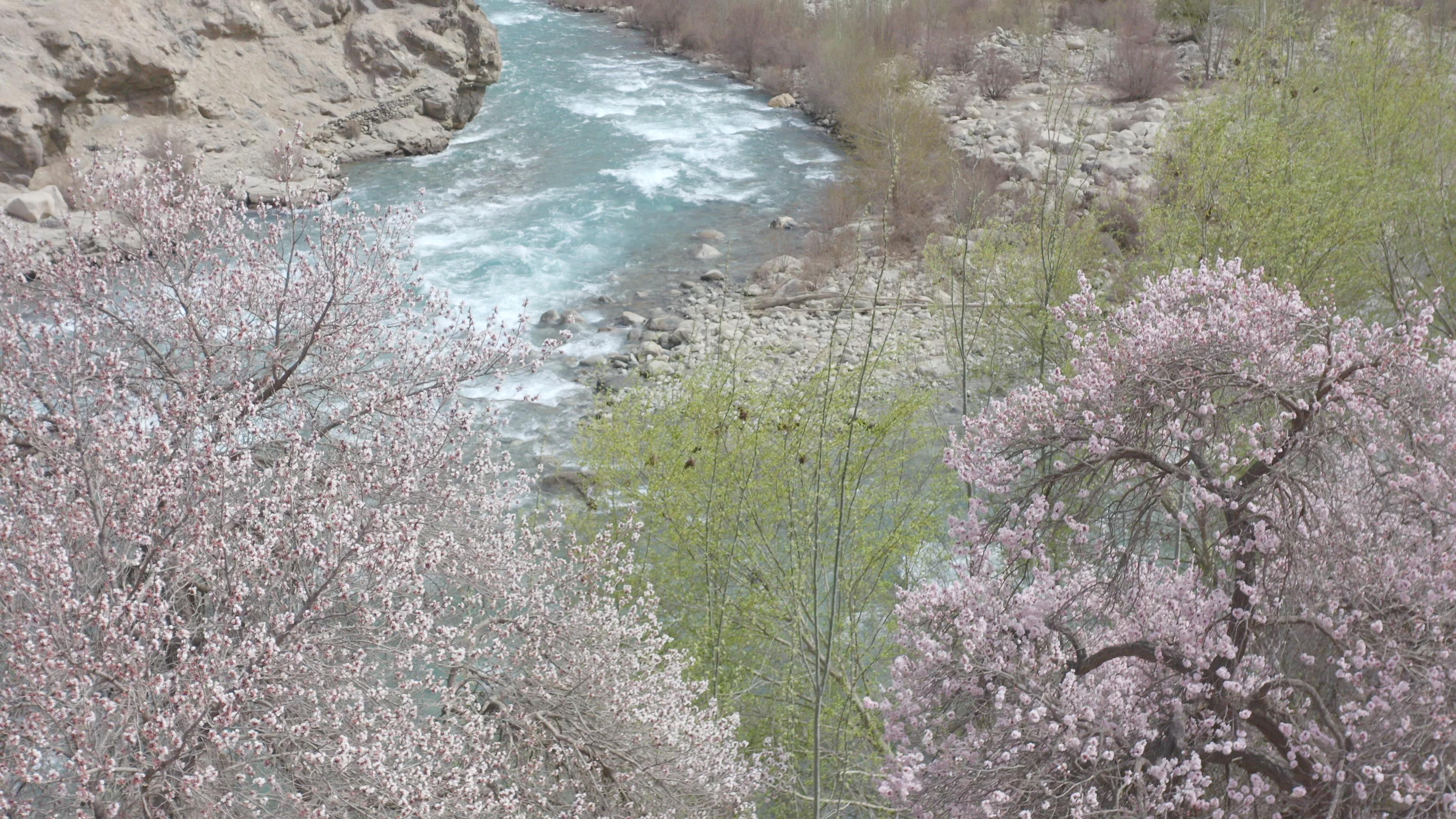 去伊犁3日游旅游團_去伊犁3日游旅游團多少錢