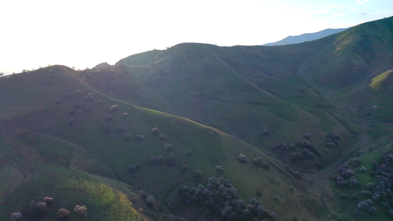 喀什跟團旅游團報價_喀什跟團旅游團報價表