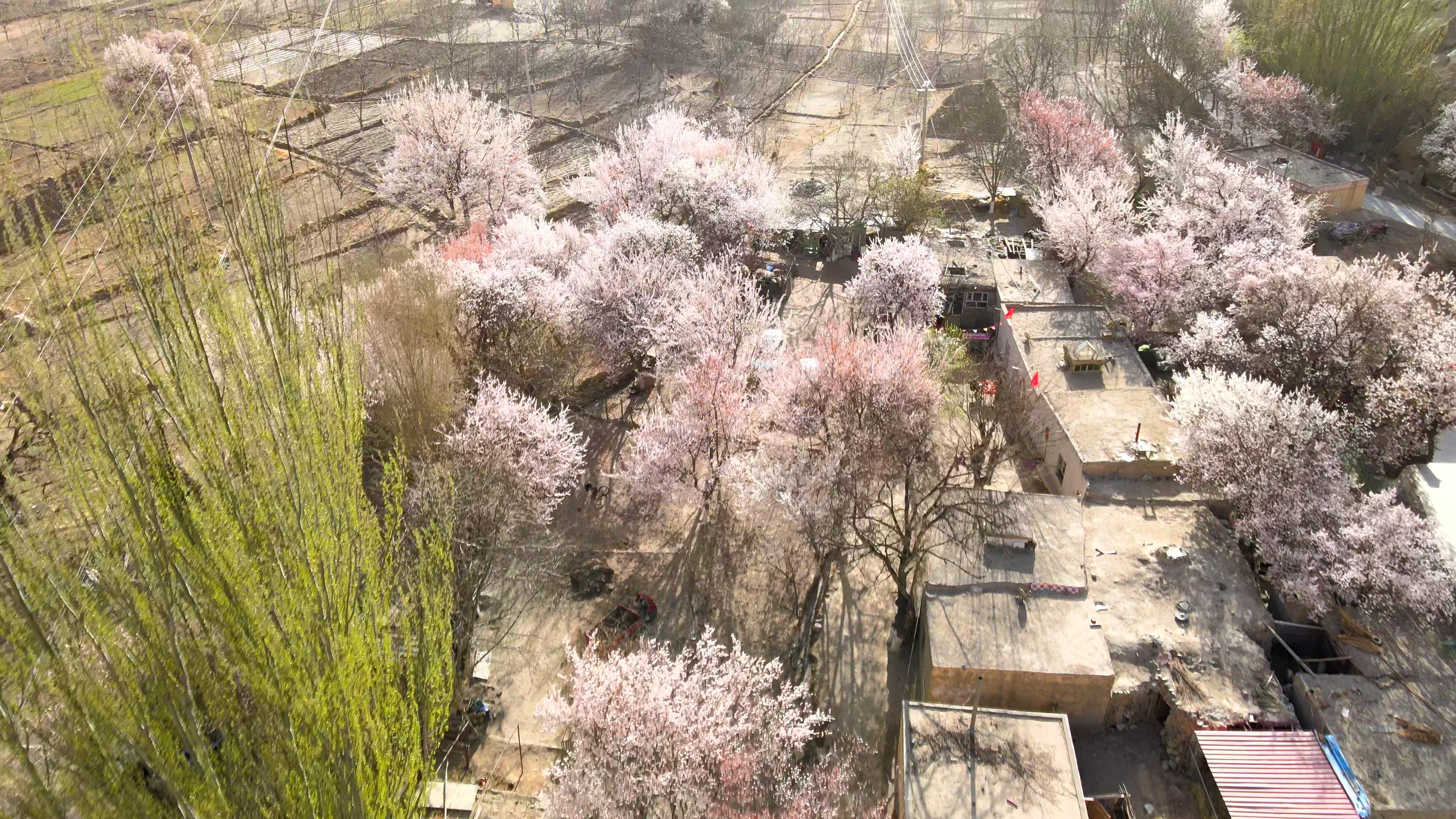 春季旅游喀什報價_春季旅游喀什報價多少錢