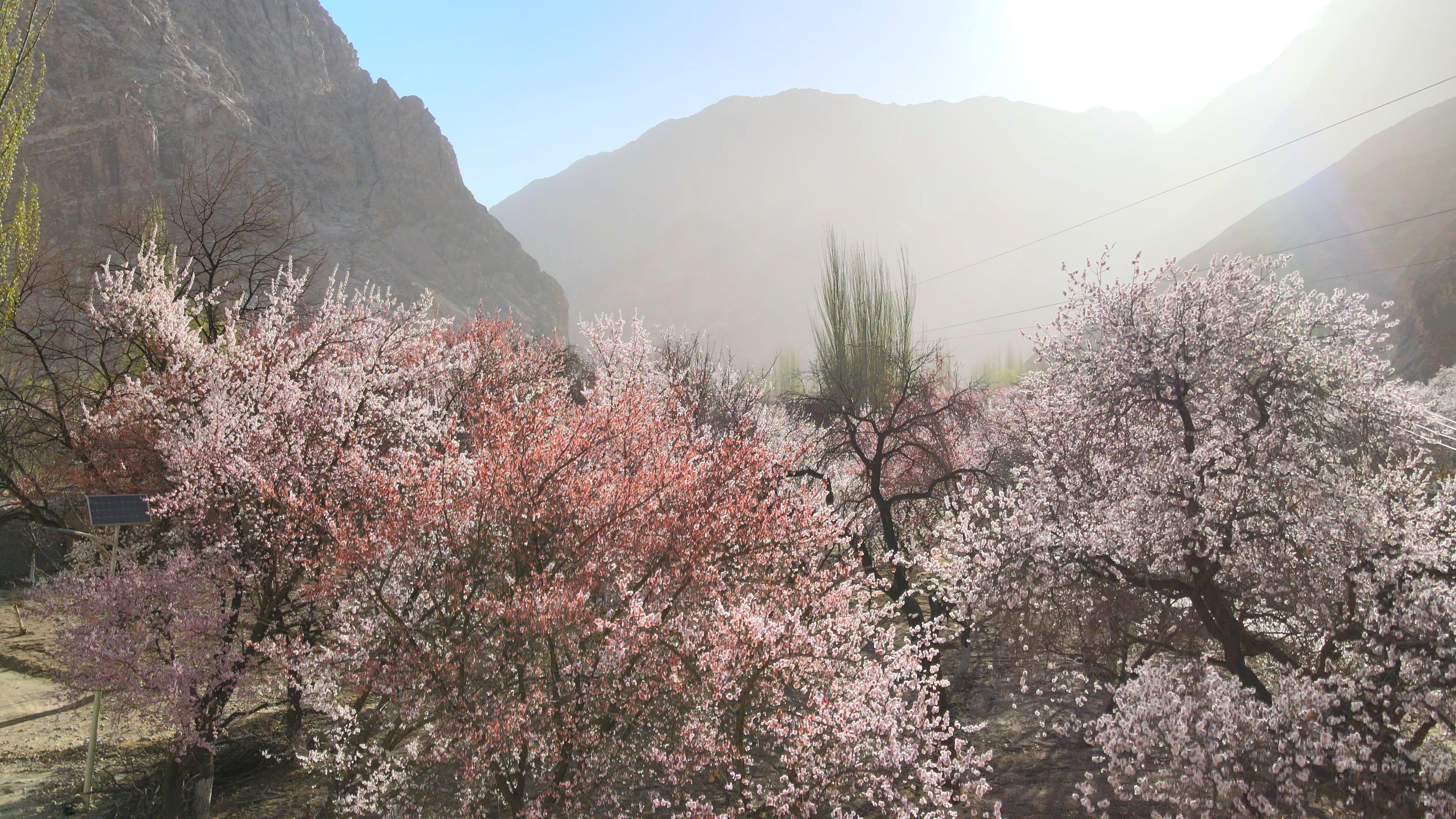 七月份新疆旅游_七月份新疆旅游穿什么衣服