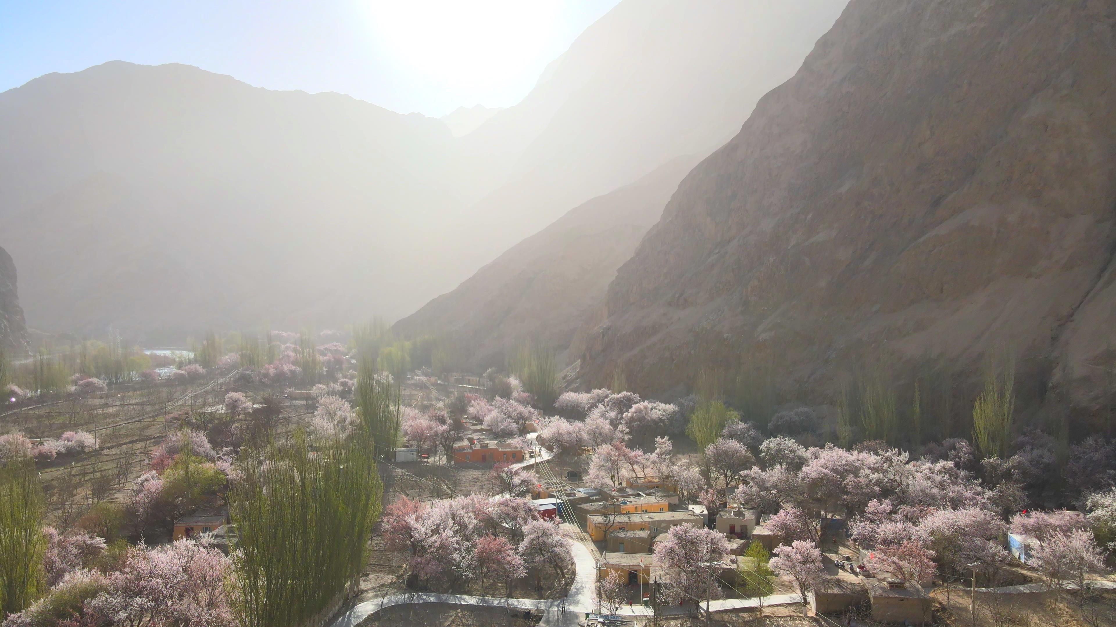 跟團去新疆旅游價格_跟團去新疆旅游價格多少