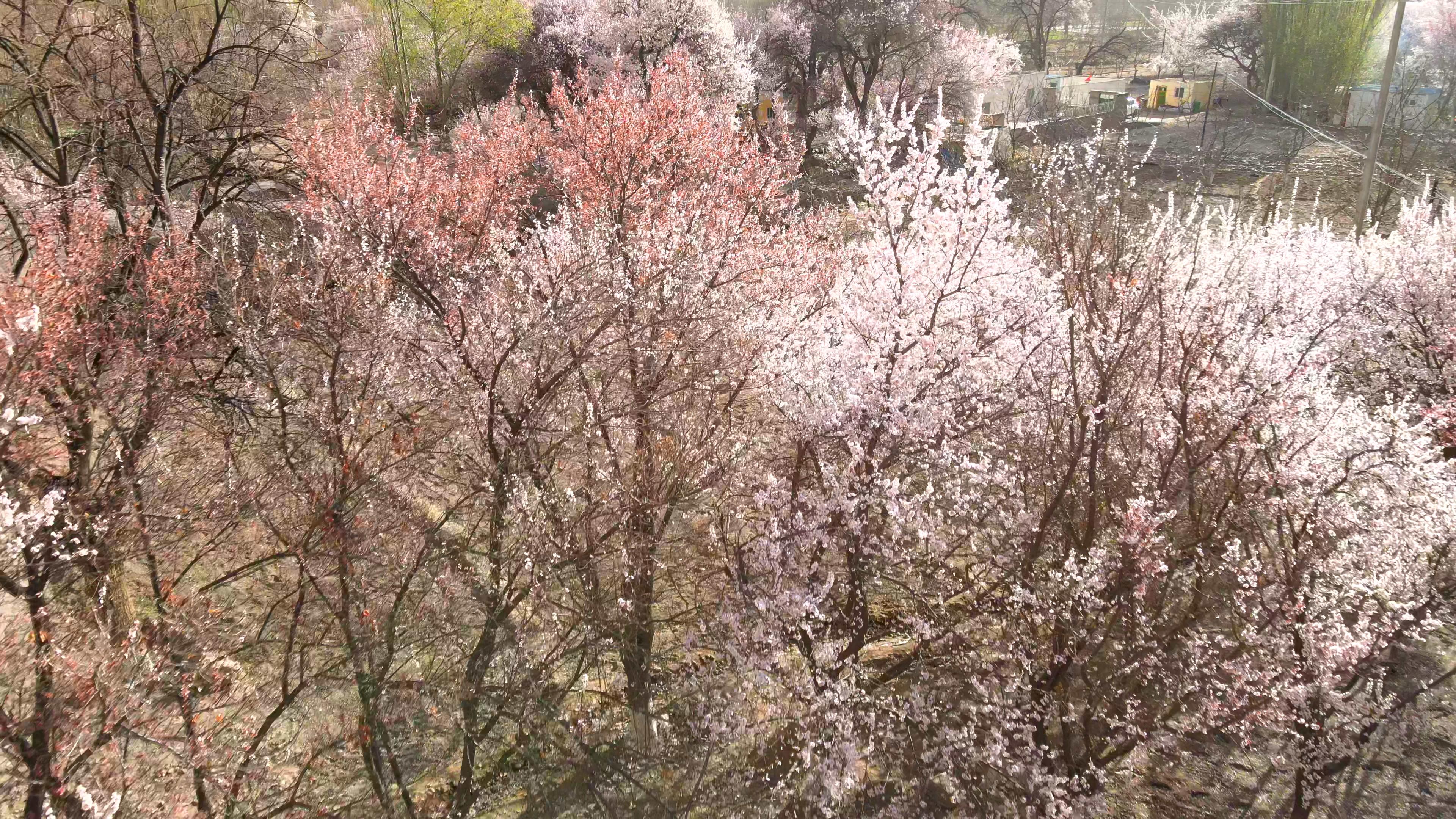 4月份那拉提旅游團報價_那拉提 旅游