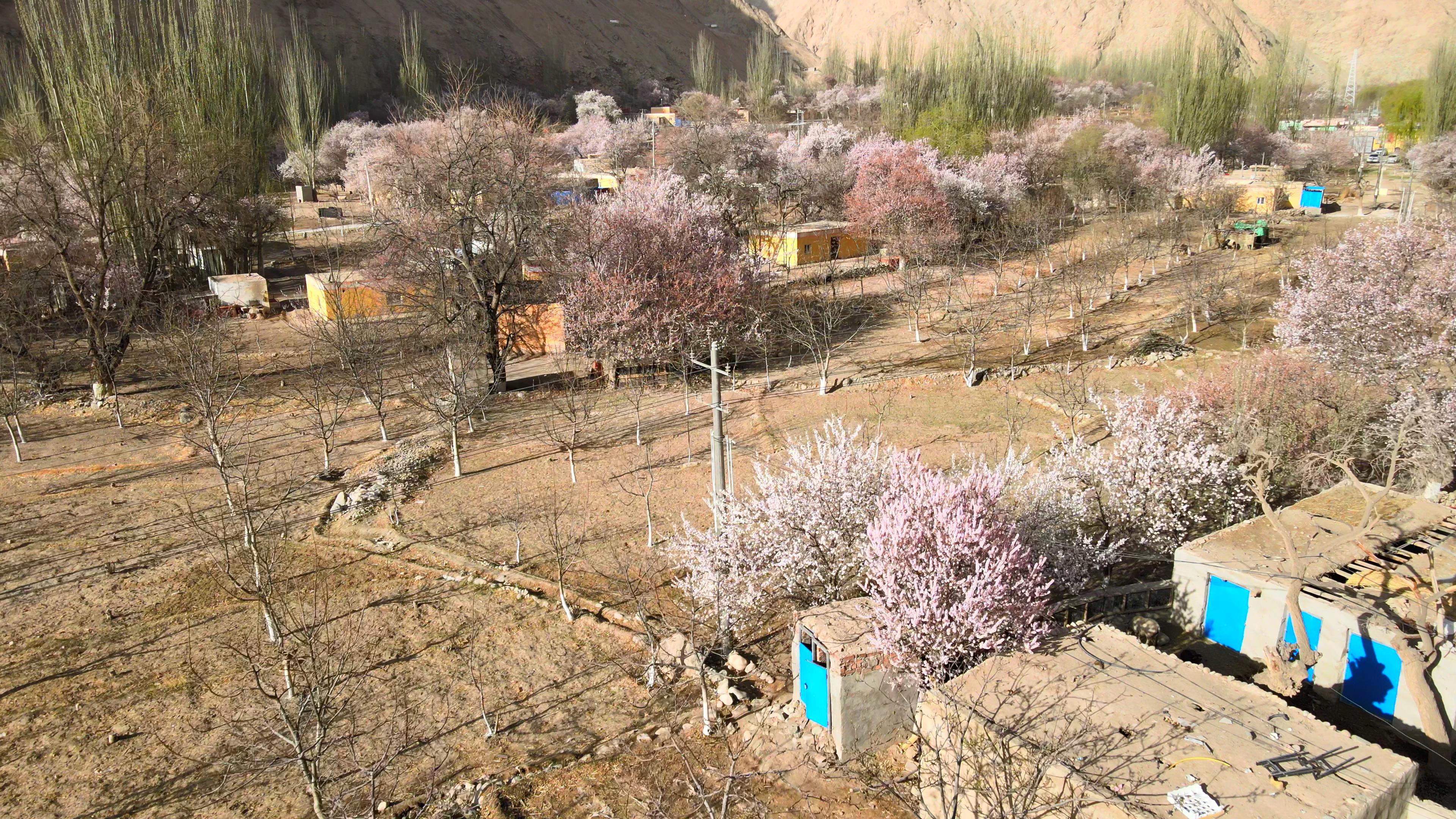 十一月份去那拉提旅游費用_十一月份去那拉提旅游費用多少