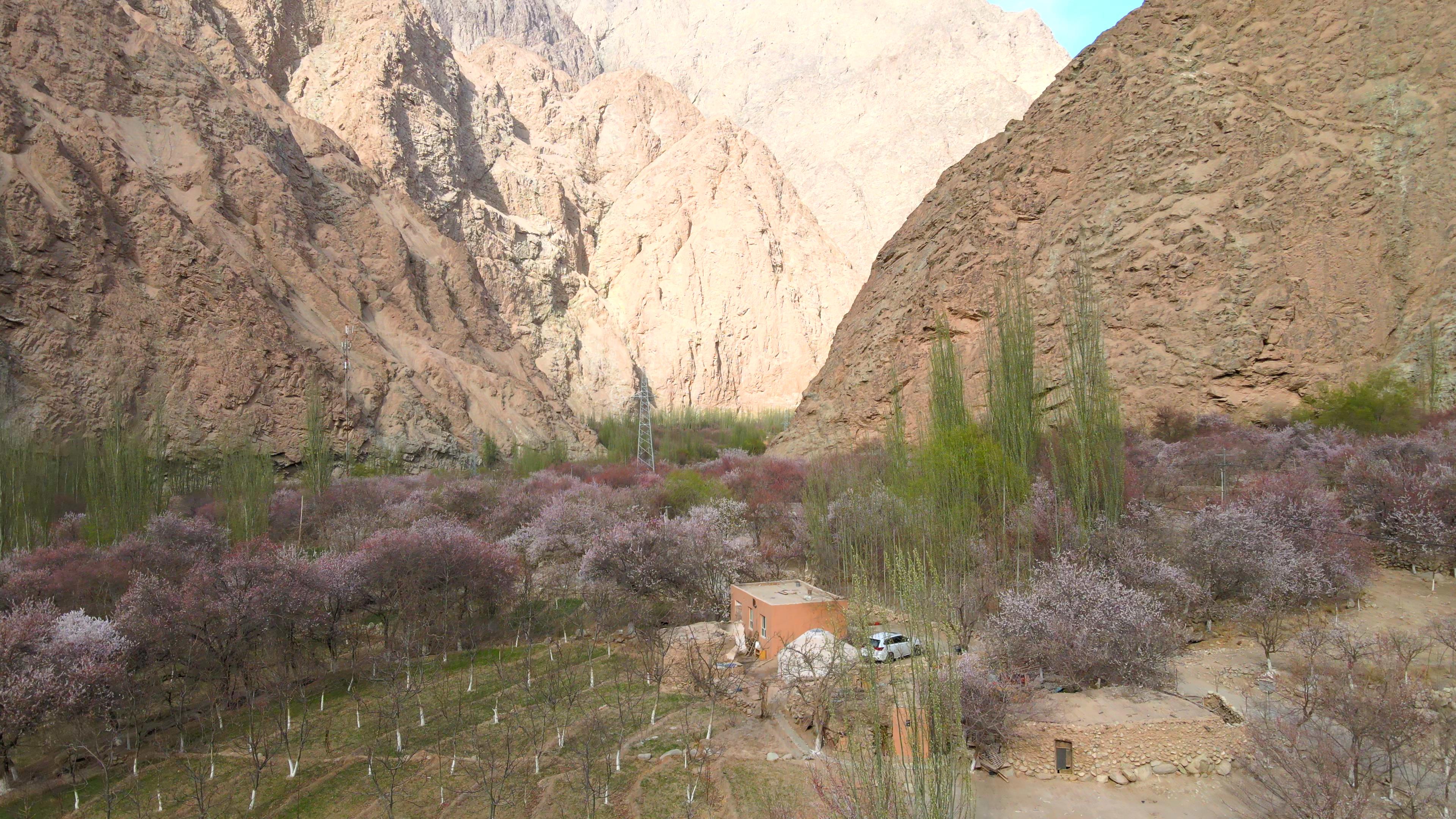 那拉提旅游豪華團費用_那拉提 旅游