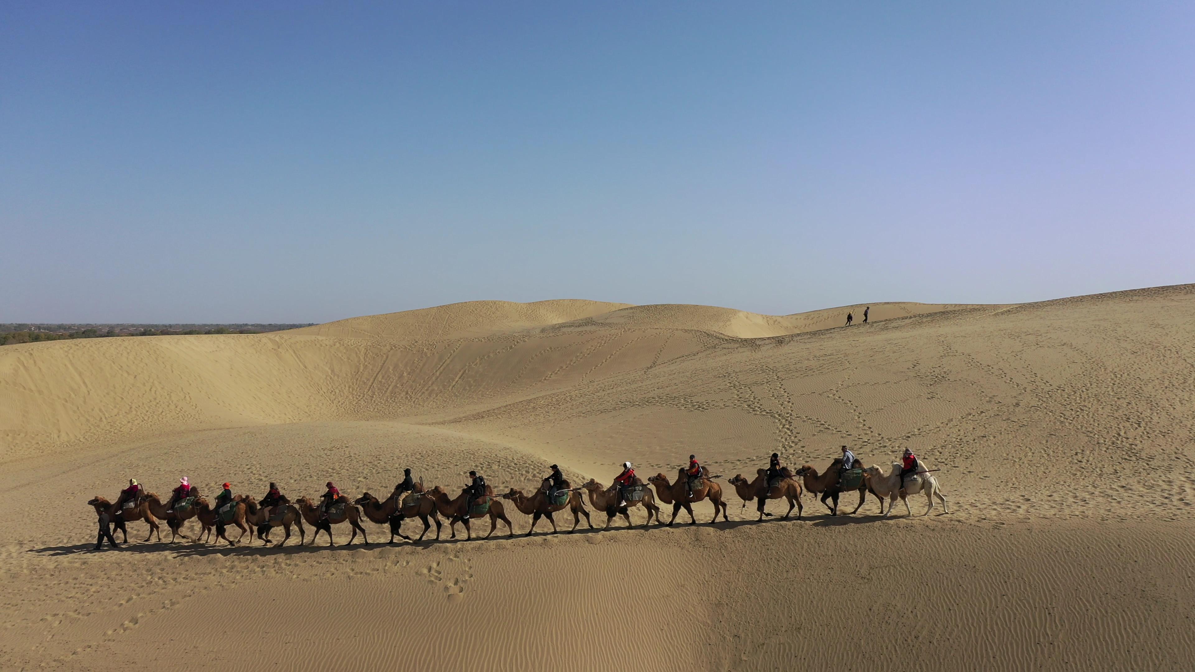 十二月去喀什旅游團價格_十二月去喀什旅游團價格多少