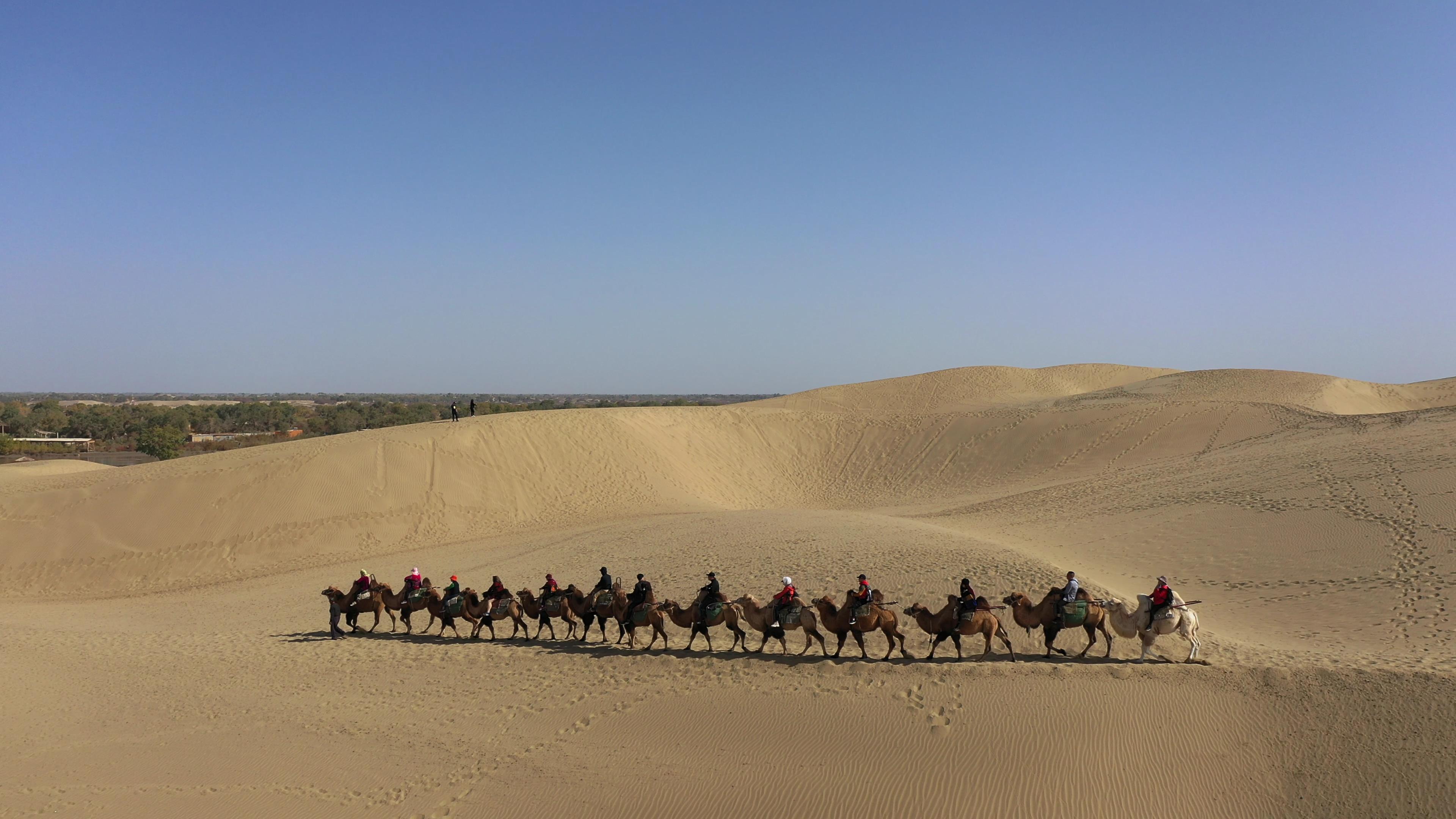 新疆南疆旅行團旅游多少錢_新疆南彊旅游