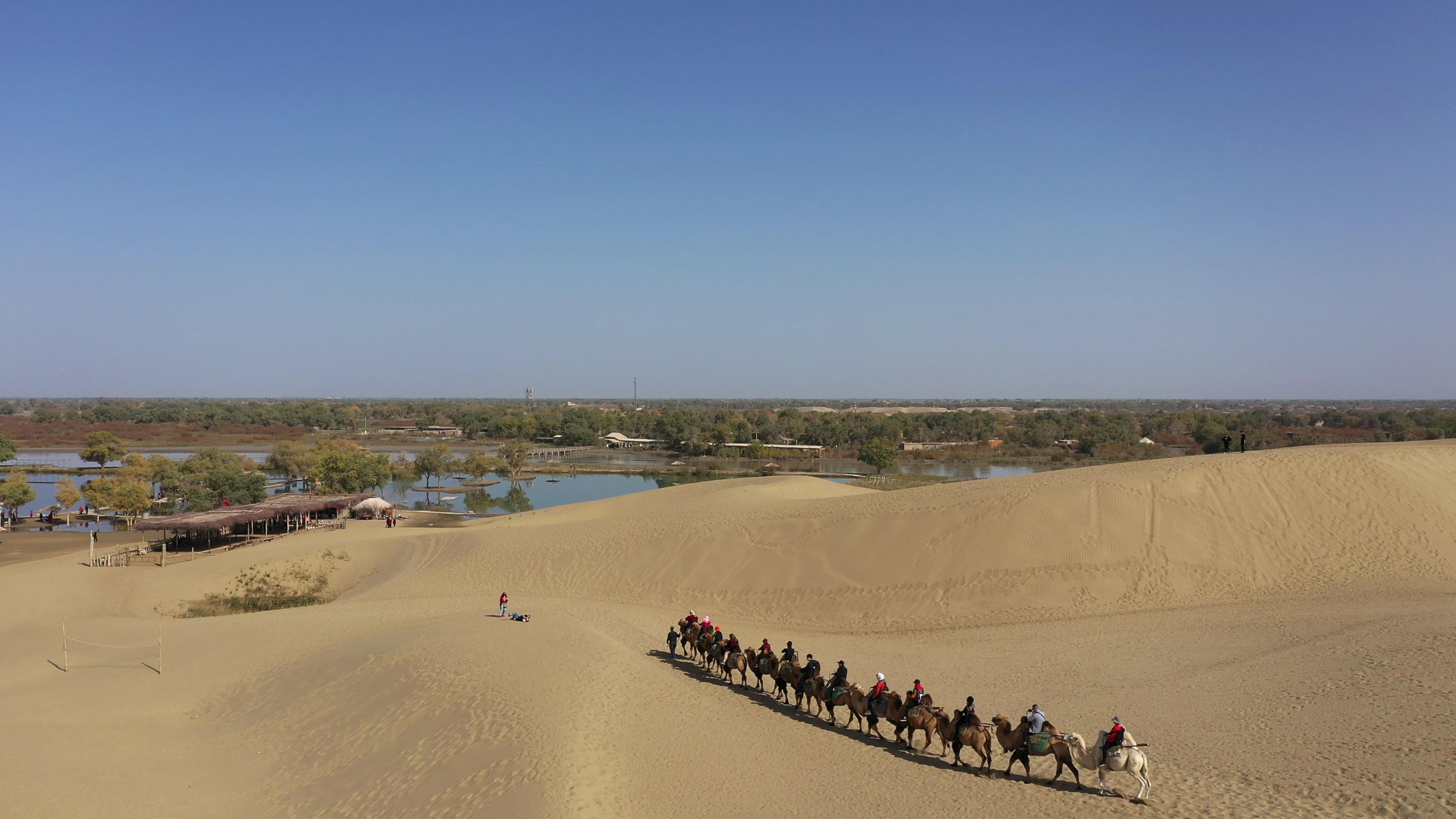 伊犁旅游報跟團_伊犁旅游報團是一天一個地方好 還是幾日連著游好