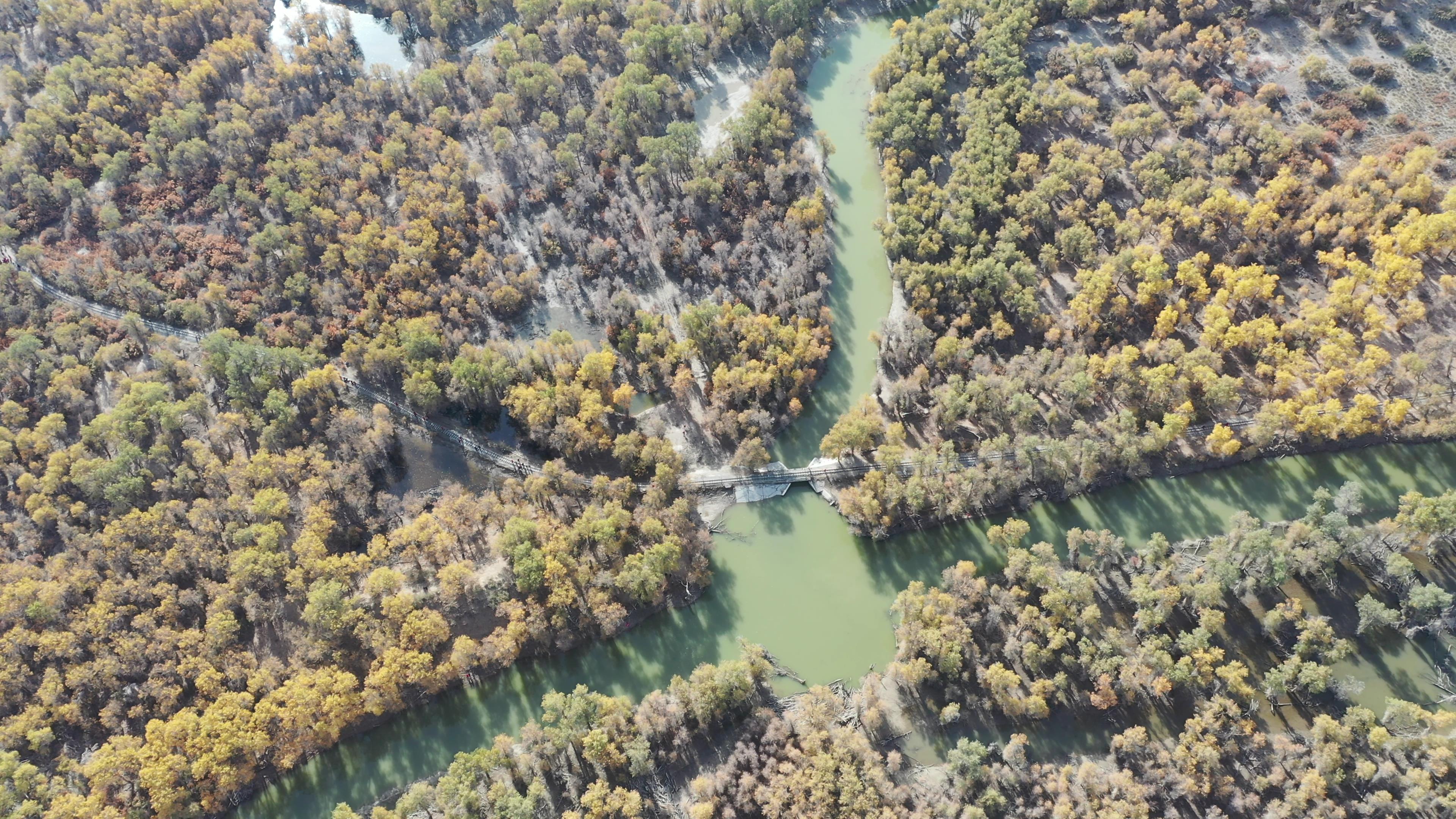 中青兵團北疆旅游_新疆兵團中青旅