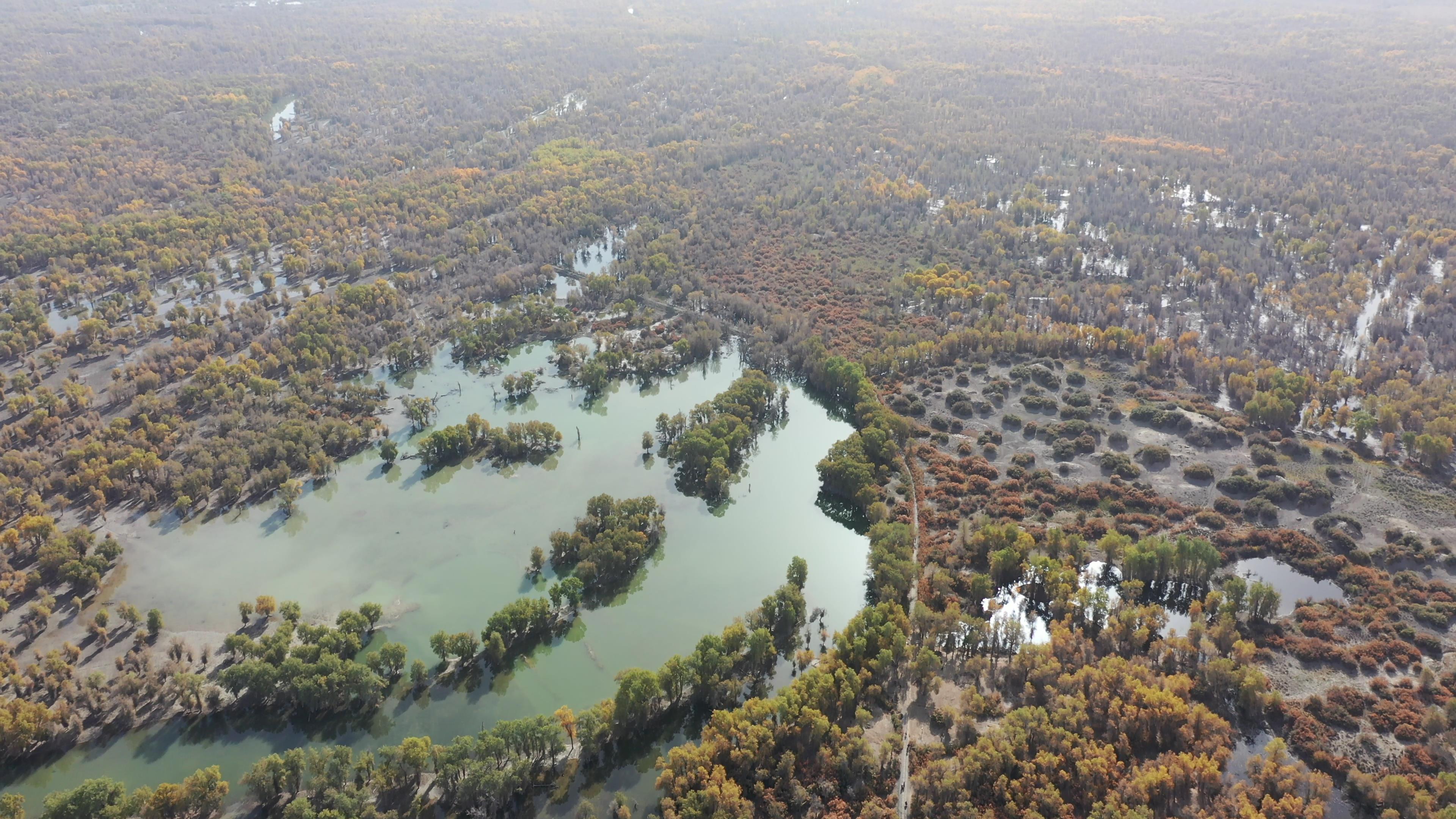 新疆旅游月份去哪兒_新疆旅游月份去哪兒合適