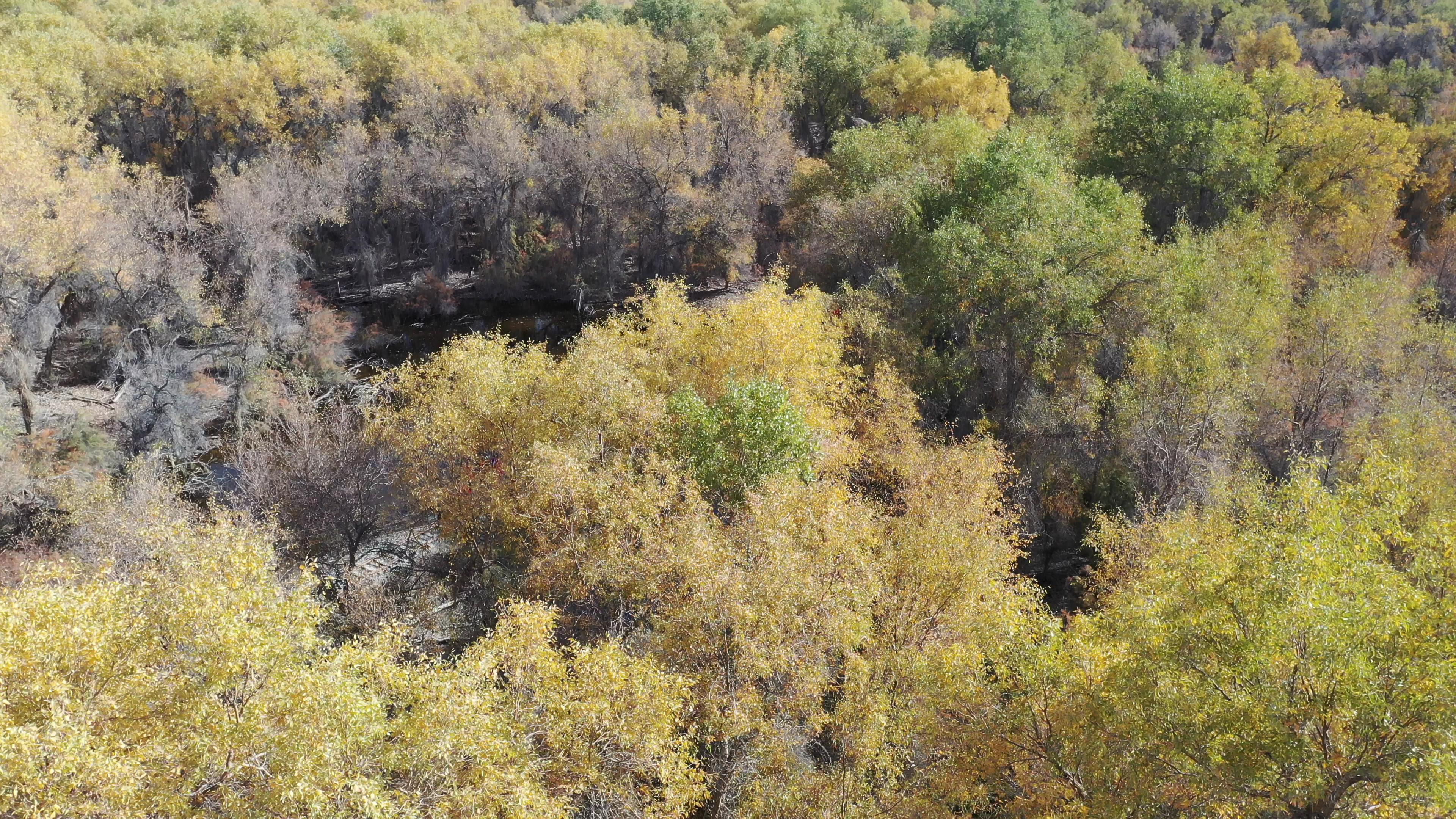 喀什旅游跟團二十天天游多少錢_喀什旅游跟團二十天天游多少錢一天