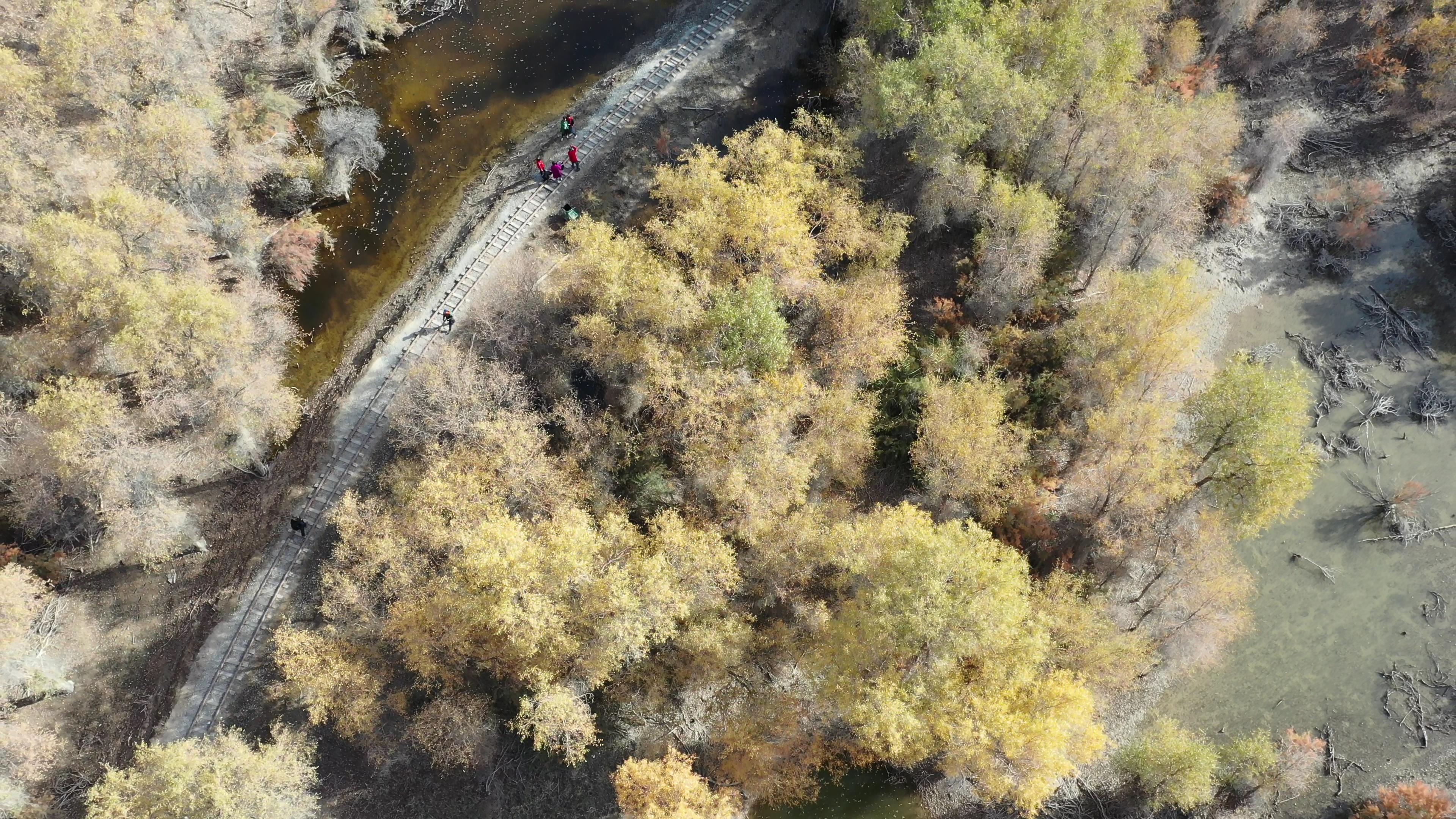 3月份伊犁跟團旅游多少錢_3月份伊犁跟團旅游多少錢一天