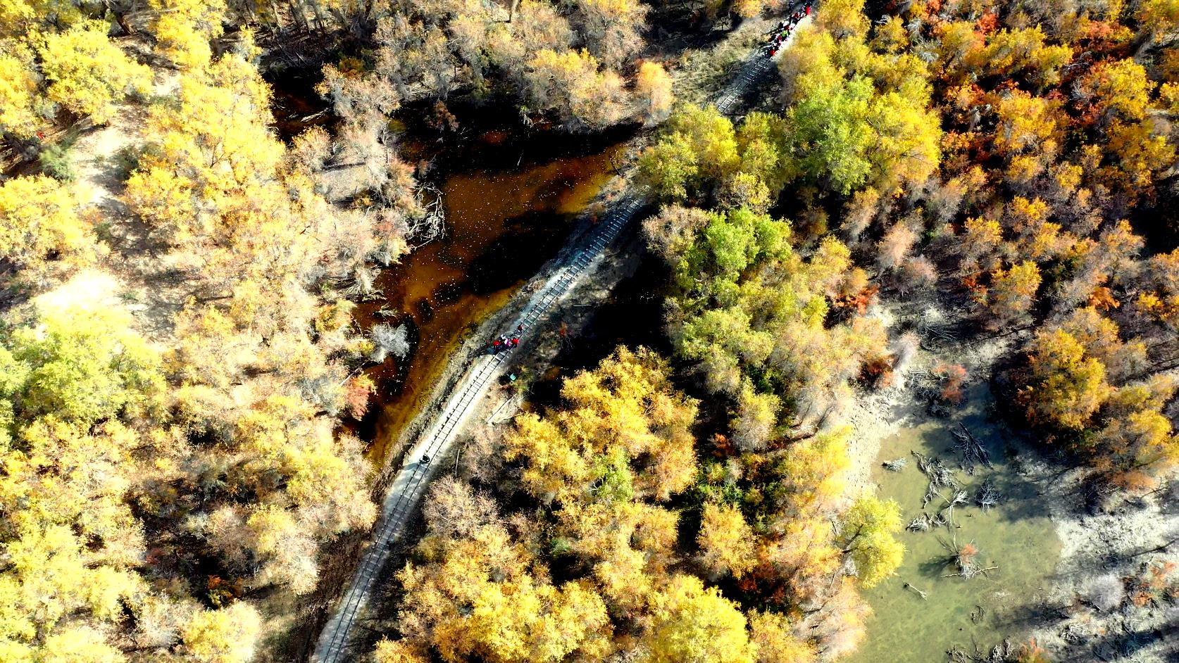 跟團去喀納斯旅游多少錢_跟團去喀納斯旅游多少錢一天