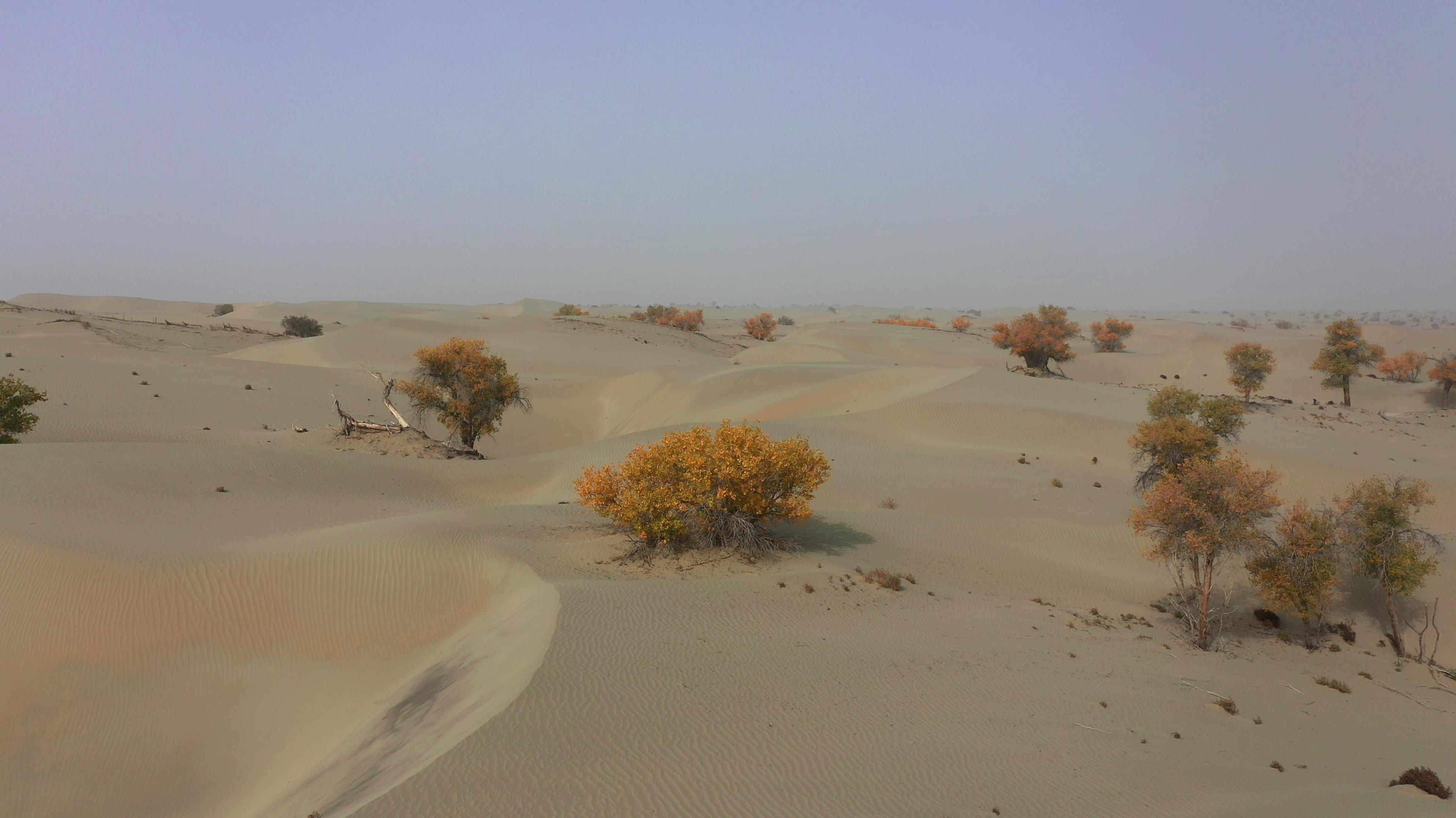 十月份那拉提旅游團多少錢_10月的那拉提風景怎么樣