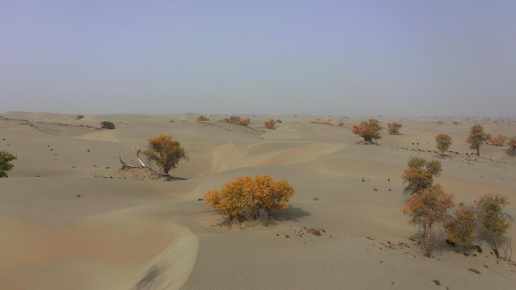 那拉提旅游十一月報價_那拉提旅游十一月報價多少