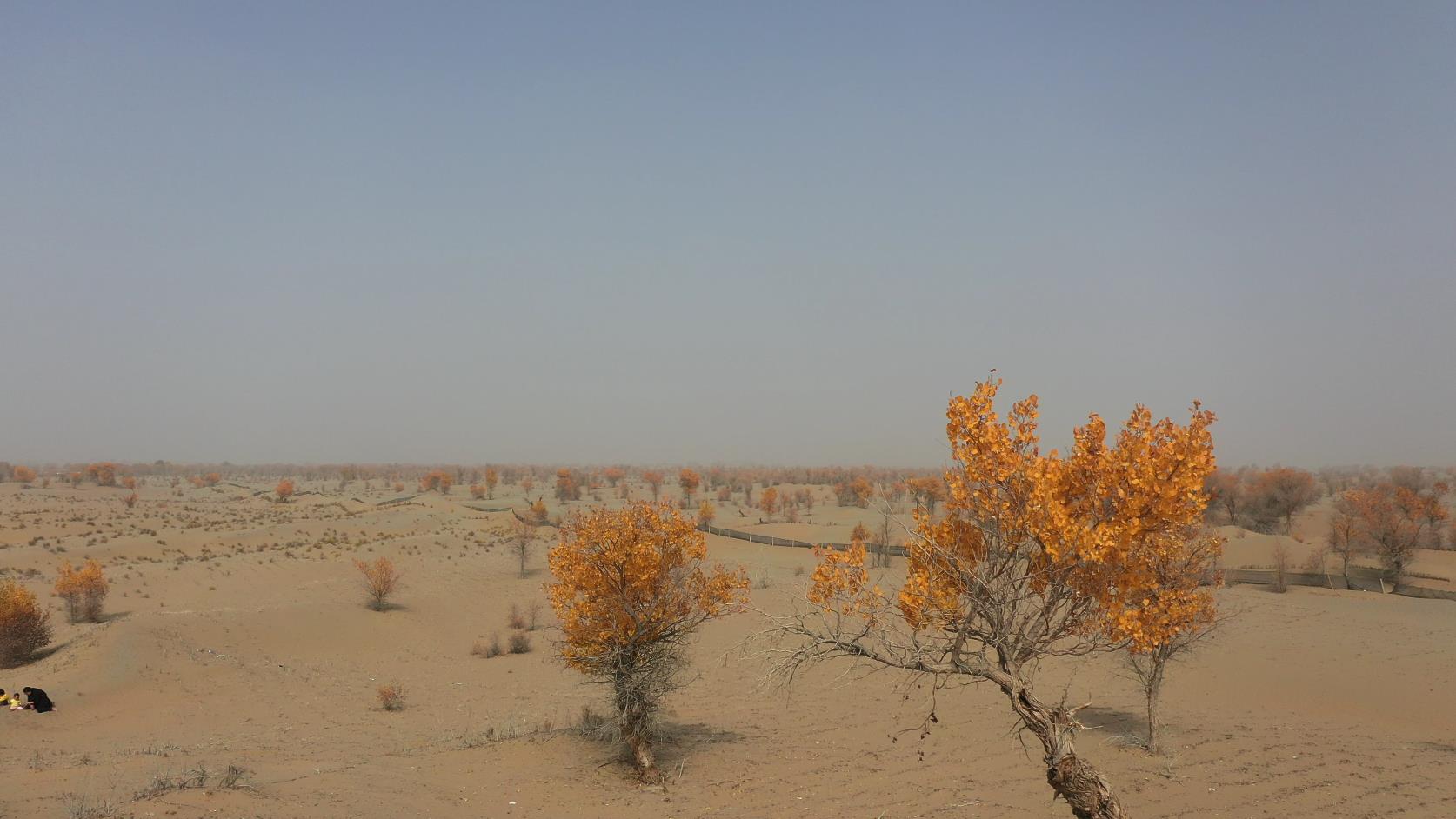 八月份那拉提旅游團價格_那拉提 旅游