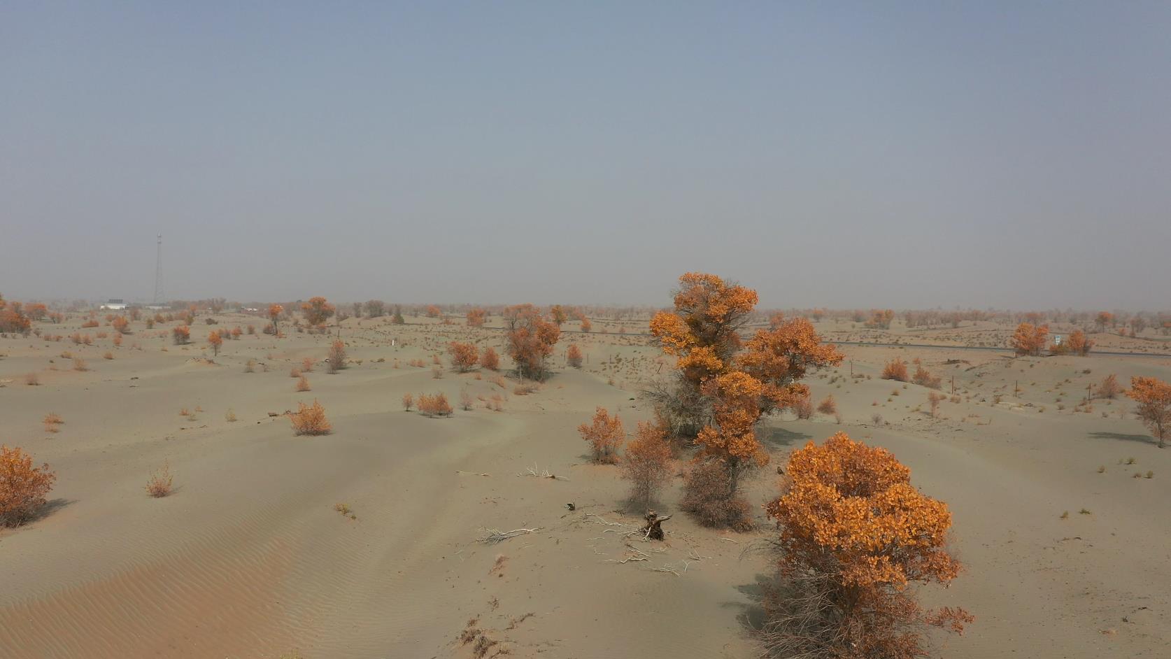 從烏魯木齊參團到喀什旅游_從烏魯木齊參團到喀什旅游多少錢