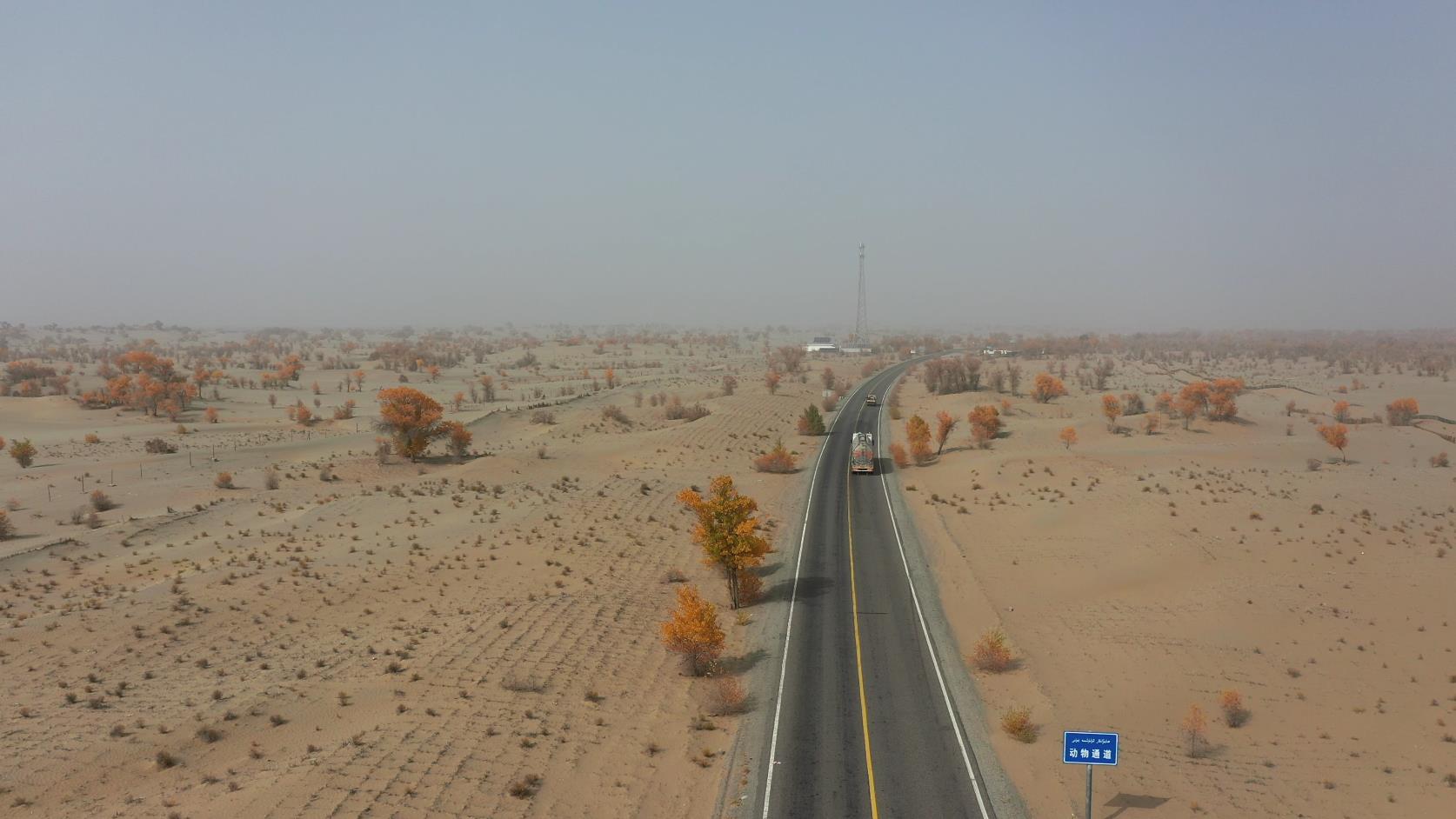 跟團旅游去賽里木湖費用_跟團旅游去賽里木湖費用多少