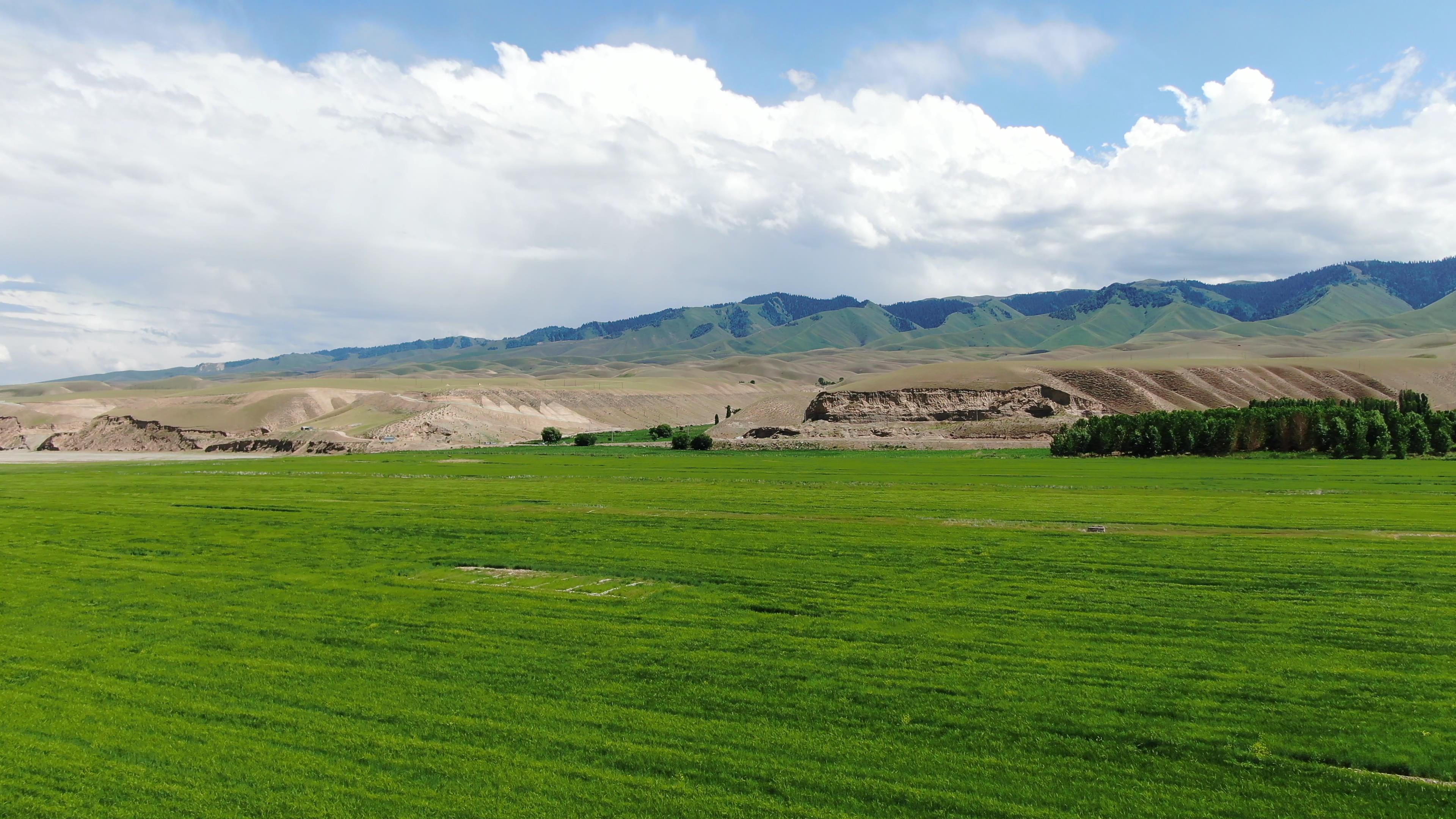 新疆旅游攻略費用_新疆旅游多少費用