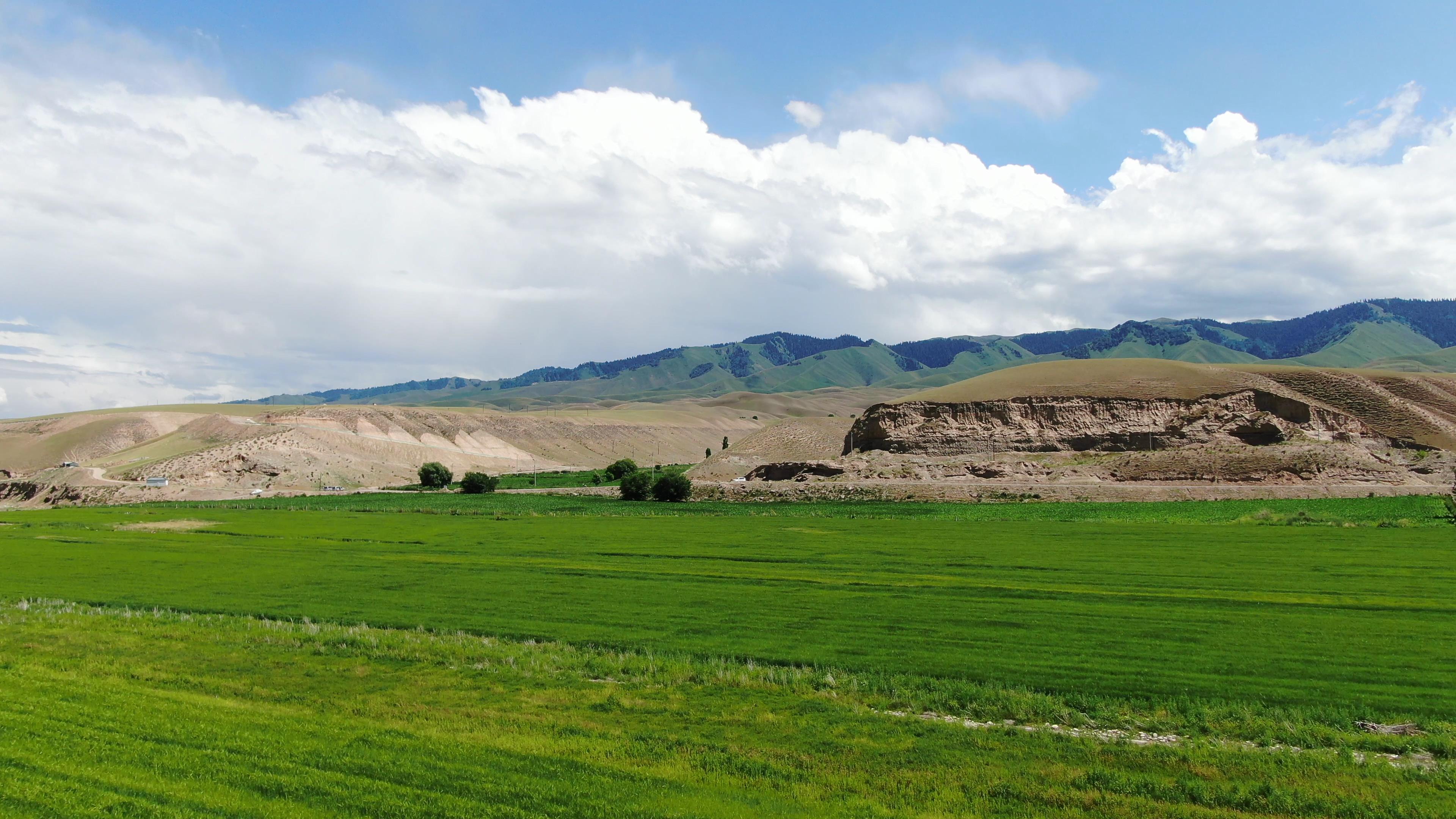 去伊犁旅游旅行團報價_去伊犁旅游旅行團報價多少