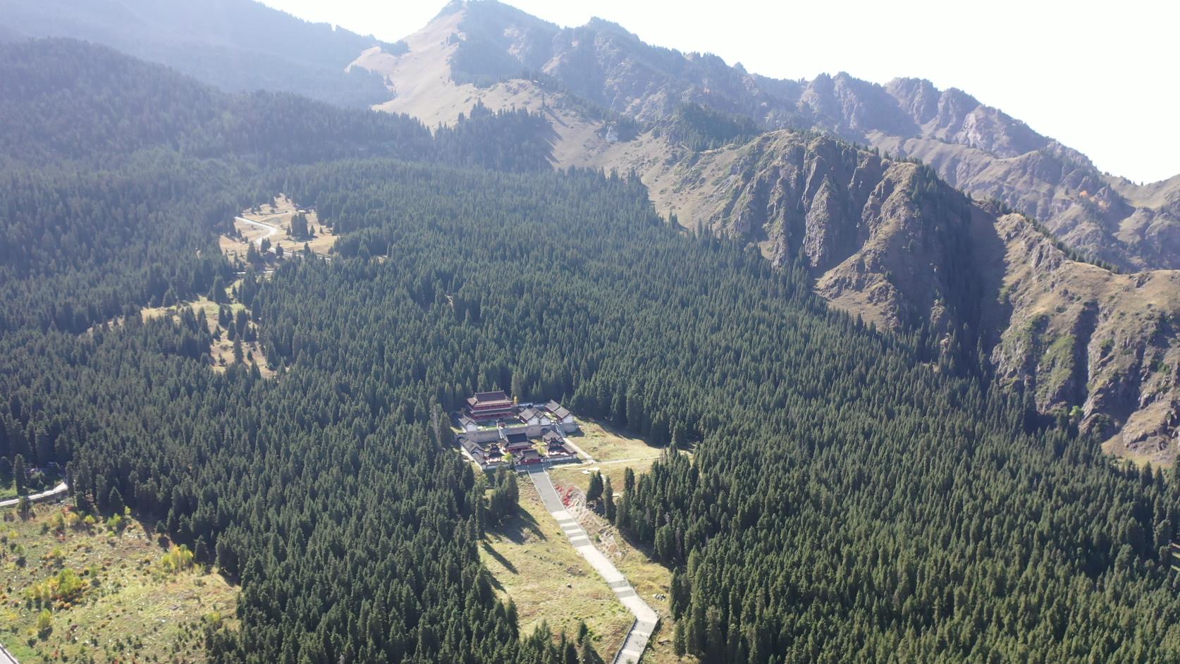 從泰安跟團去新疆旅游_從泰安跟團去新疆旅游多少錢