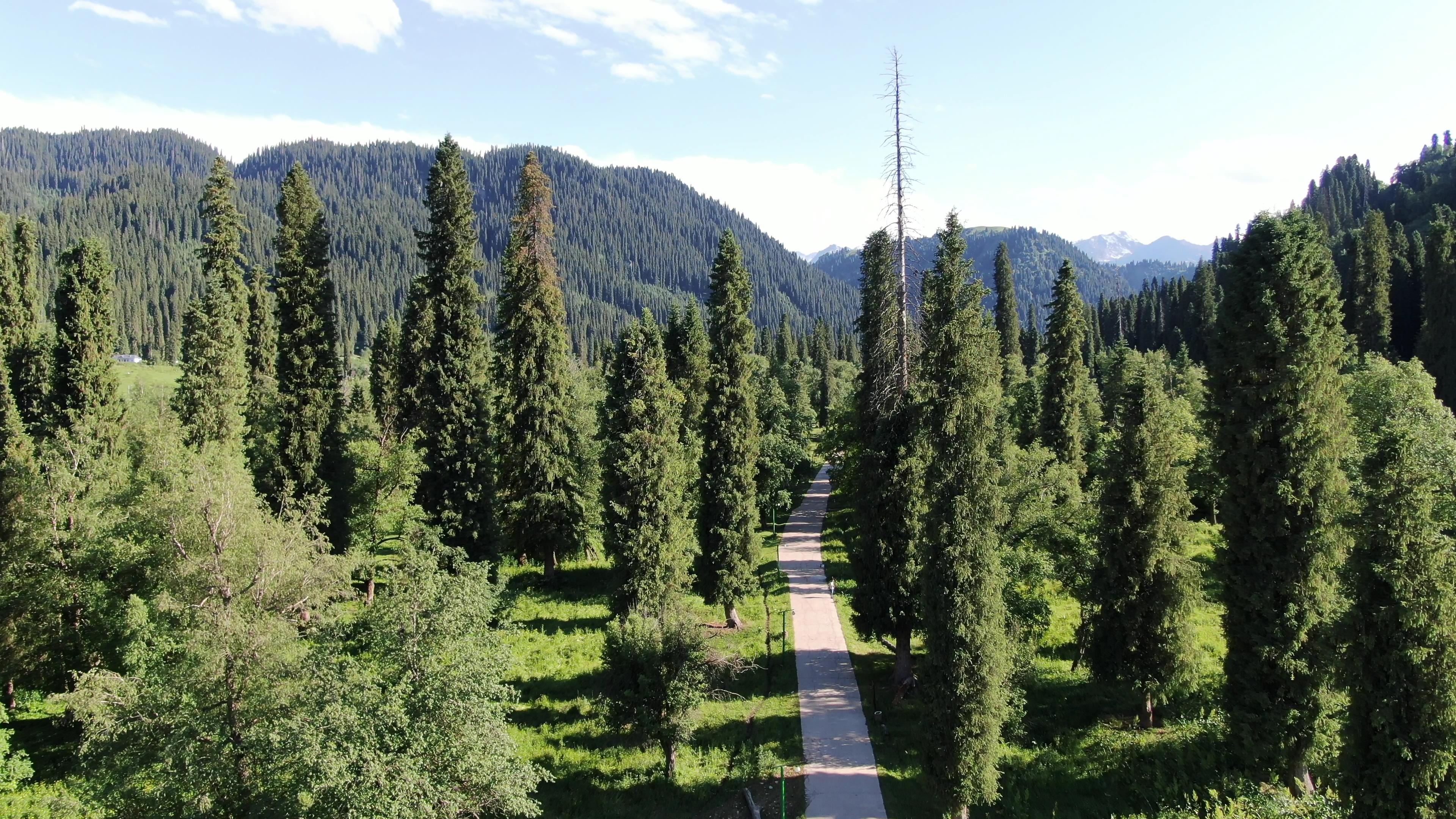 去北疆旅游幾月份好