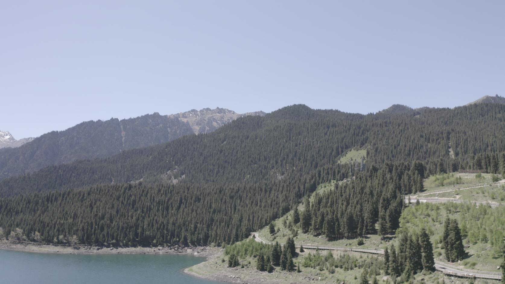 那拉提旅游純玩跟團價格_那拉提旅游純玩跟團價格多少