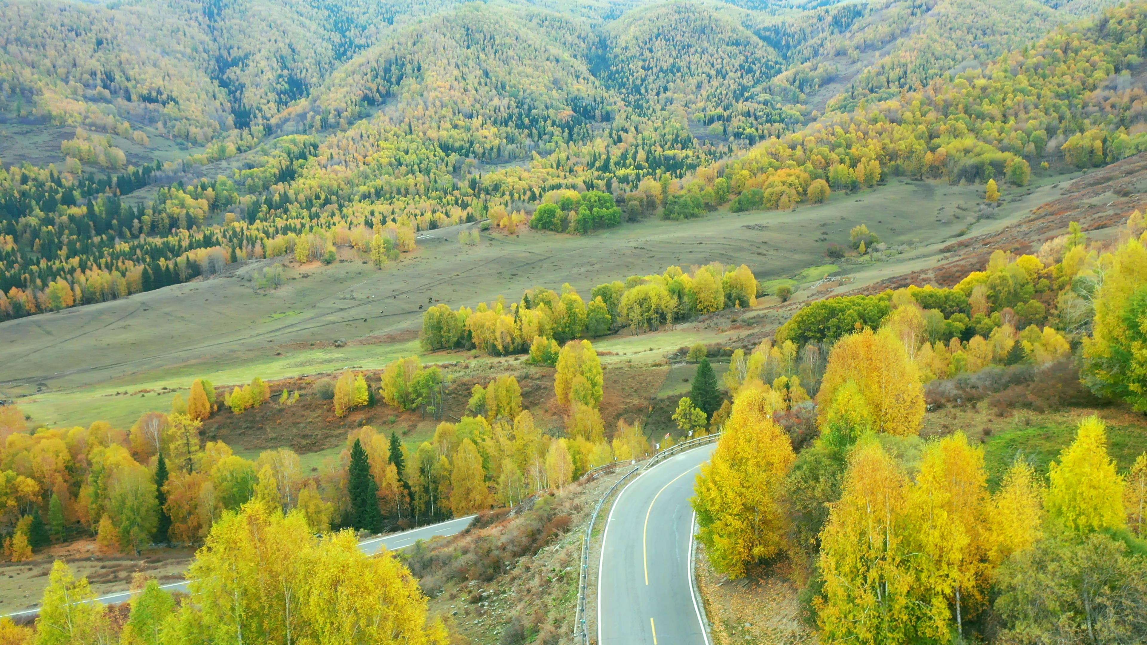 參團去賽里木湖旅游報價_賽里木湖跟團