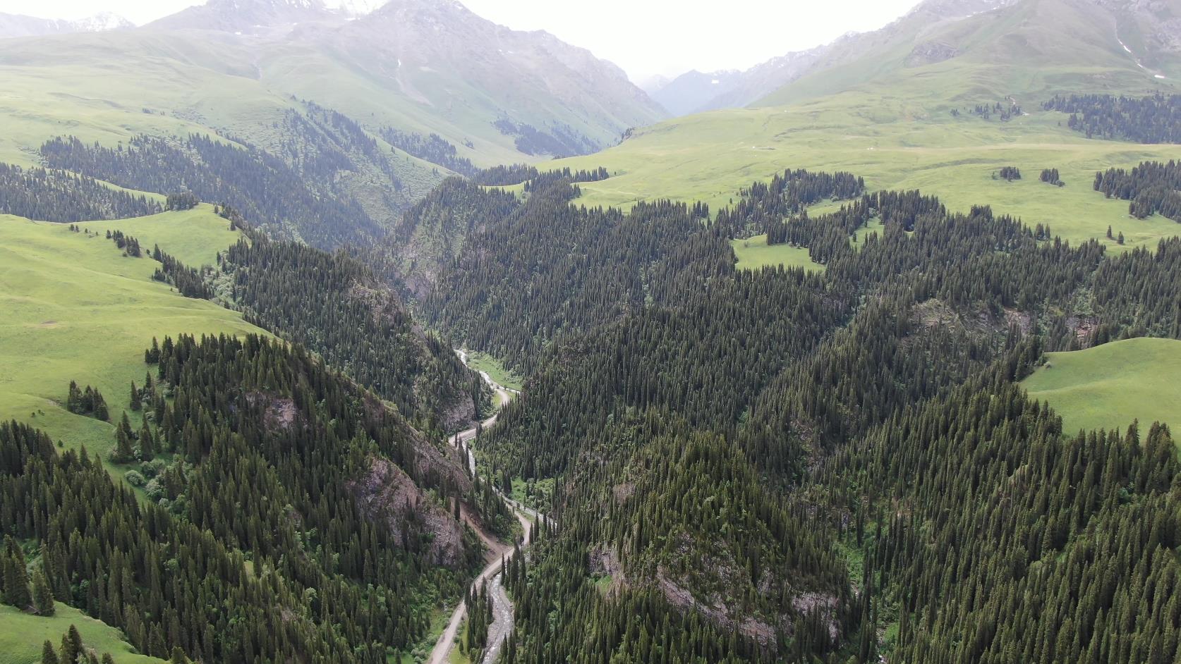 伊犁旅游團行程報價_伊犁旅游團行程報價表