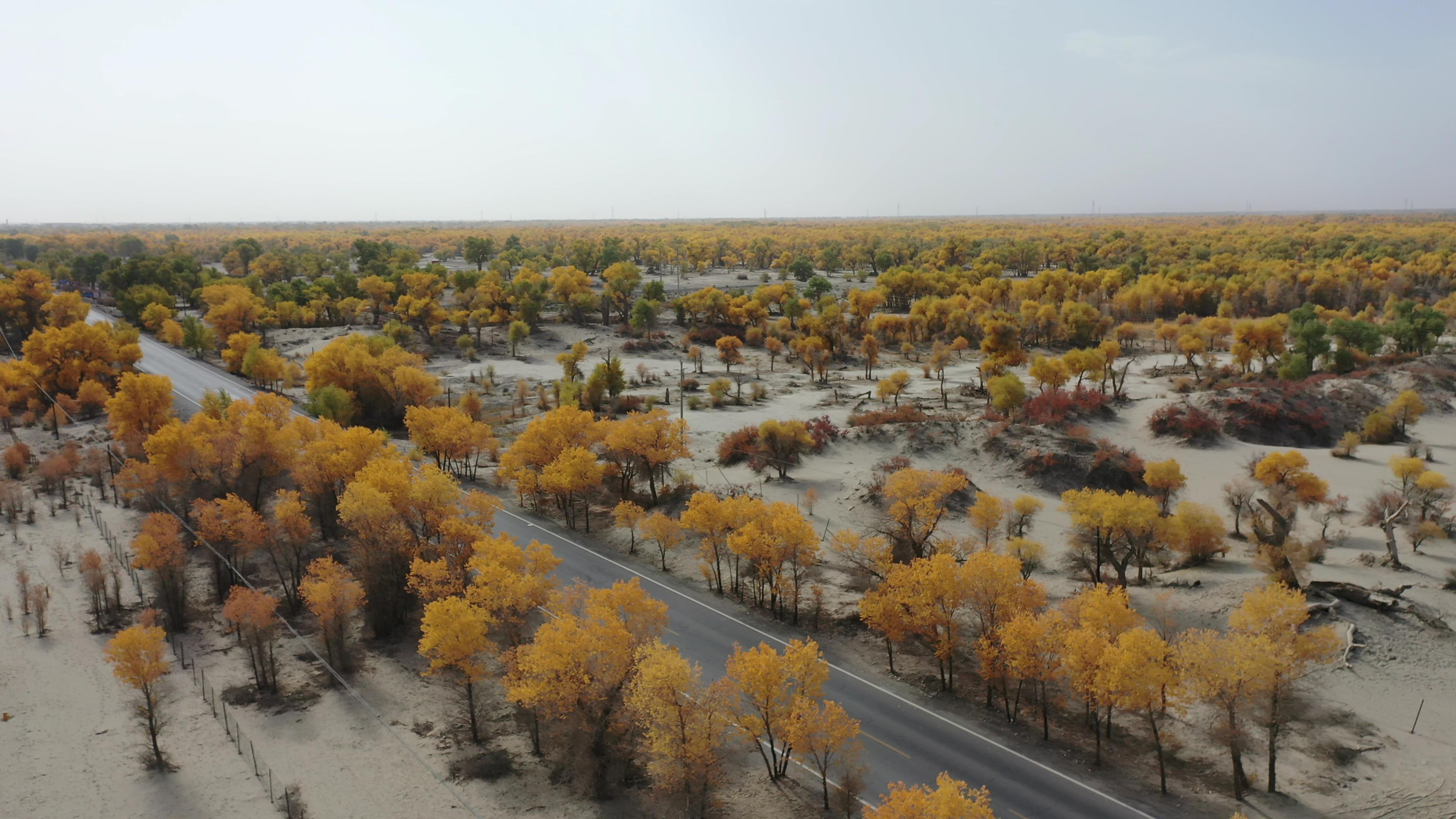 重慶到喀什跟團旅游_重慶到喀什跟團旅游多少錢