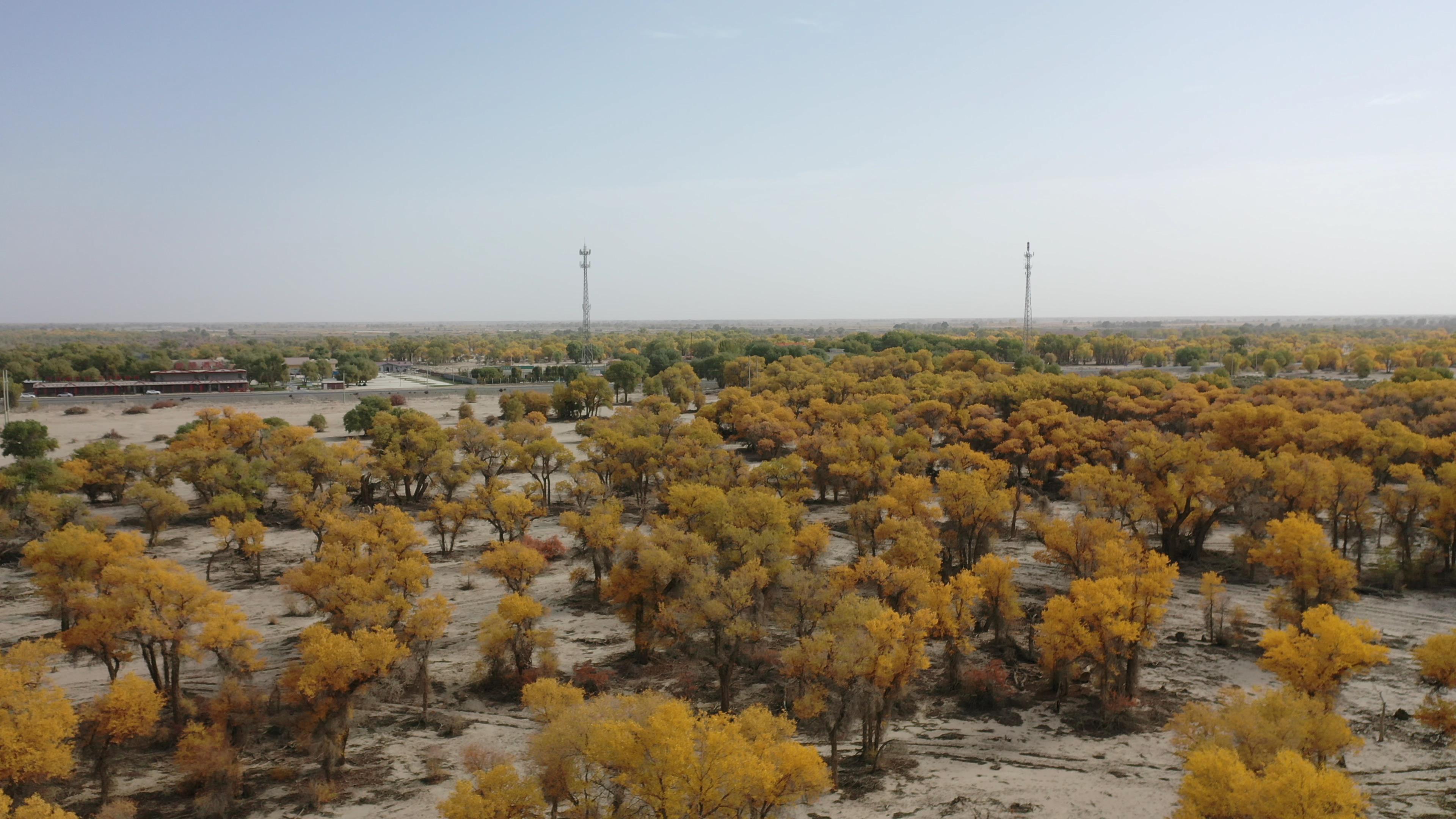 新疆旅游團和本地團哪個好_新疆旅游團和本地團哪個好一點