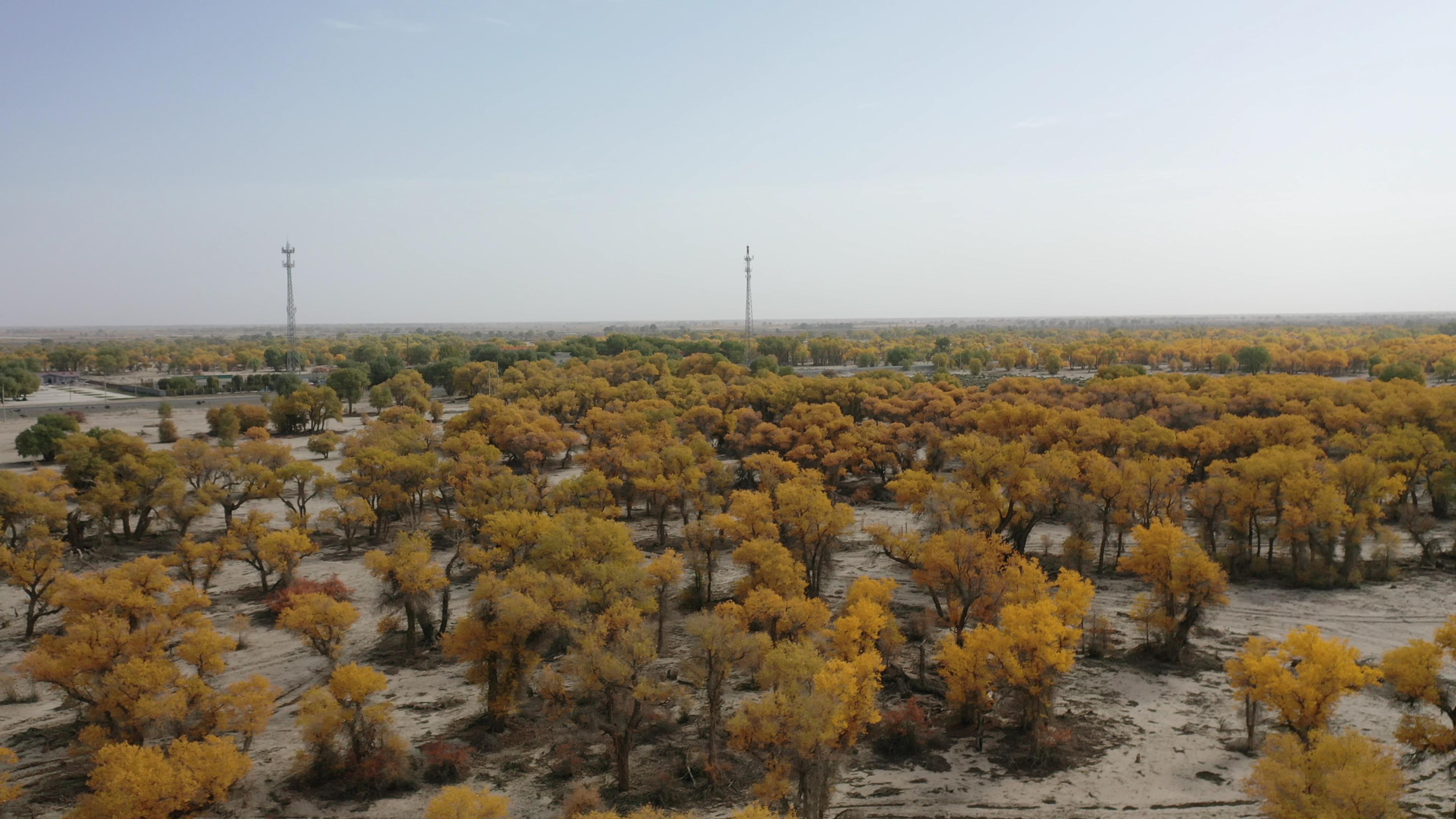 喀納斯九月底旅游價格_喀納斯九月底旅游價格多少