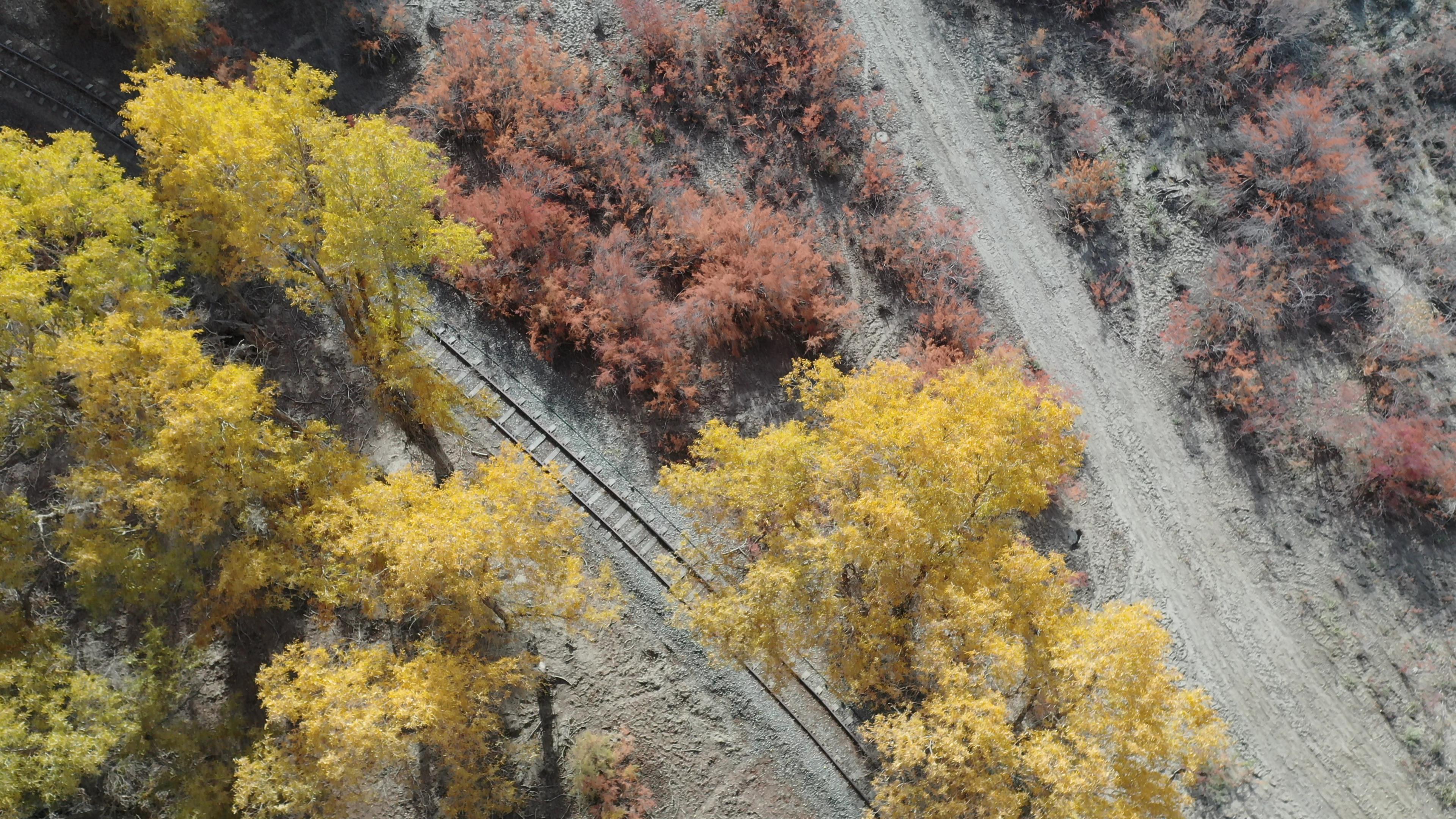 天山號旅游列車_天山號旅游列車多少錢一張票