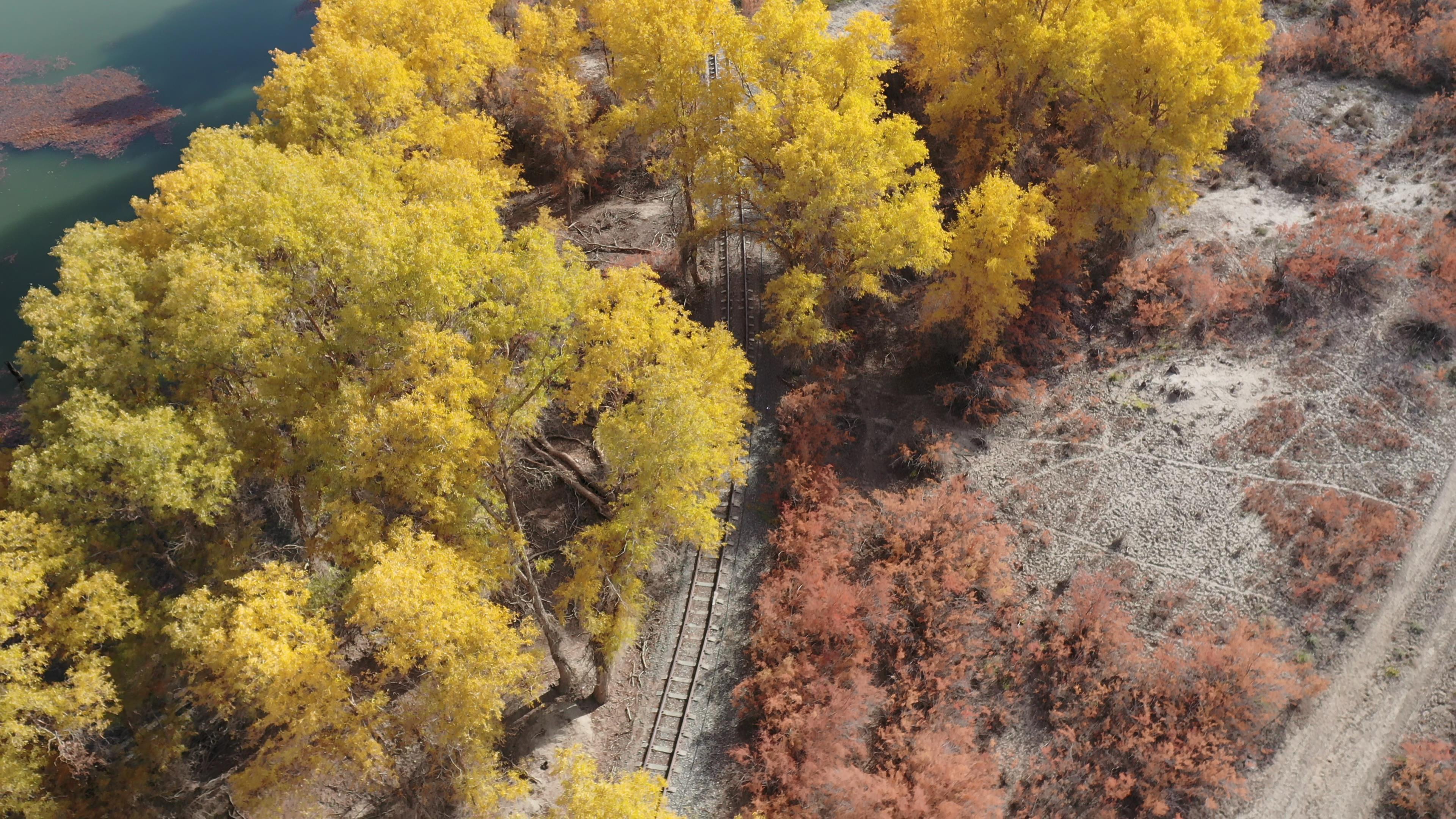 十二月份新疆旅游團價格_12月份新疆旅游