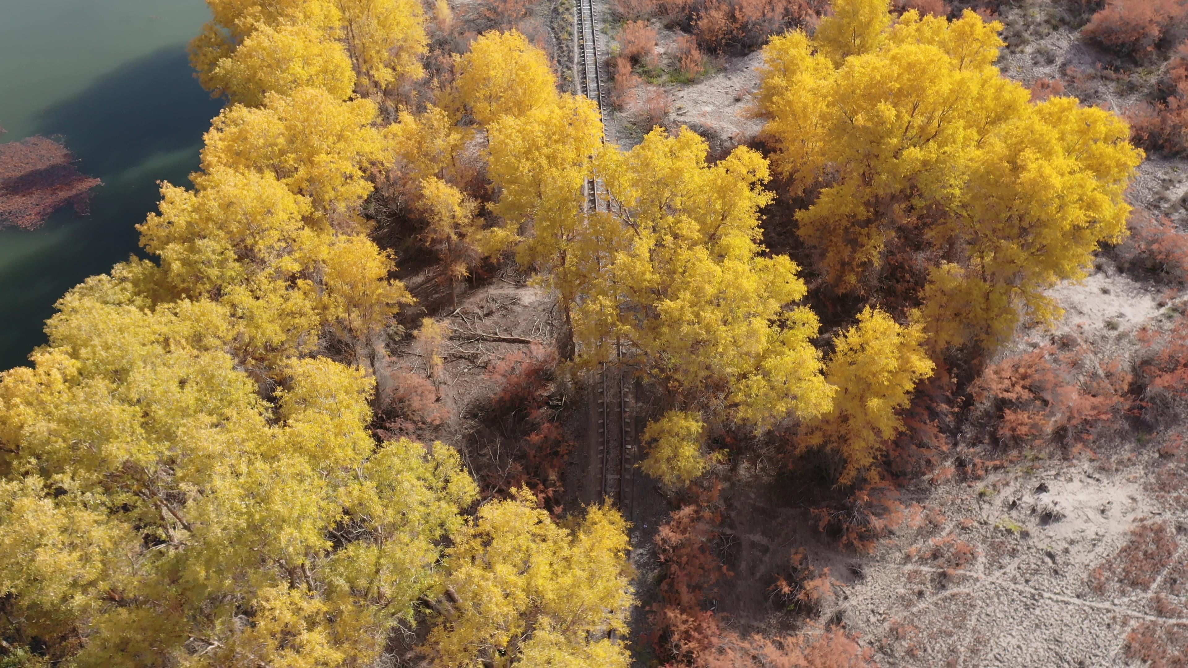 烏魯木齊當地跟團游報價_烏魯木齊跟團游的價格